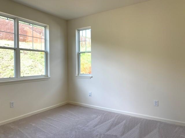 262  Pua Kalaunu Loop Kehalani, Wailuku home - photo 11 of 15