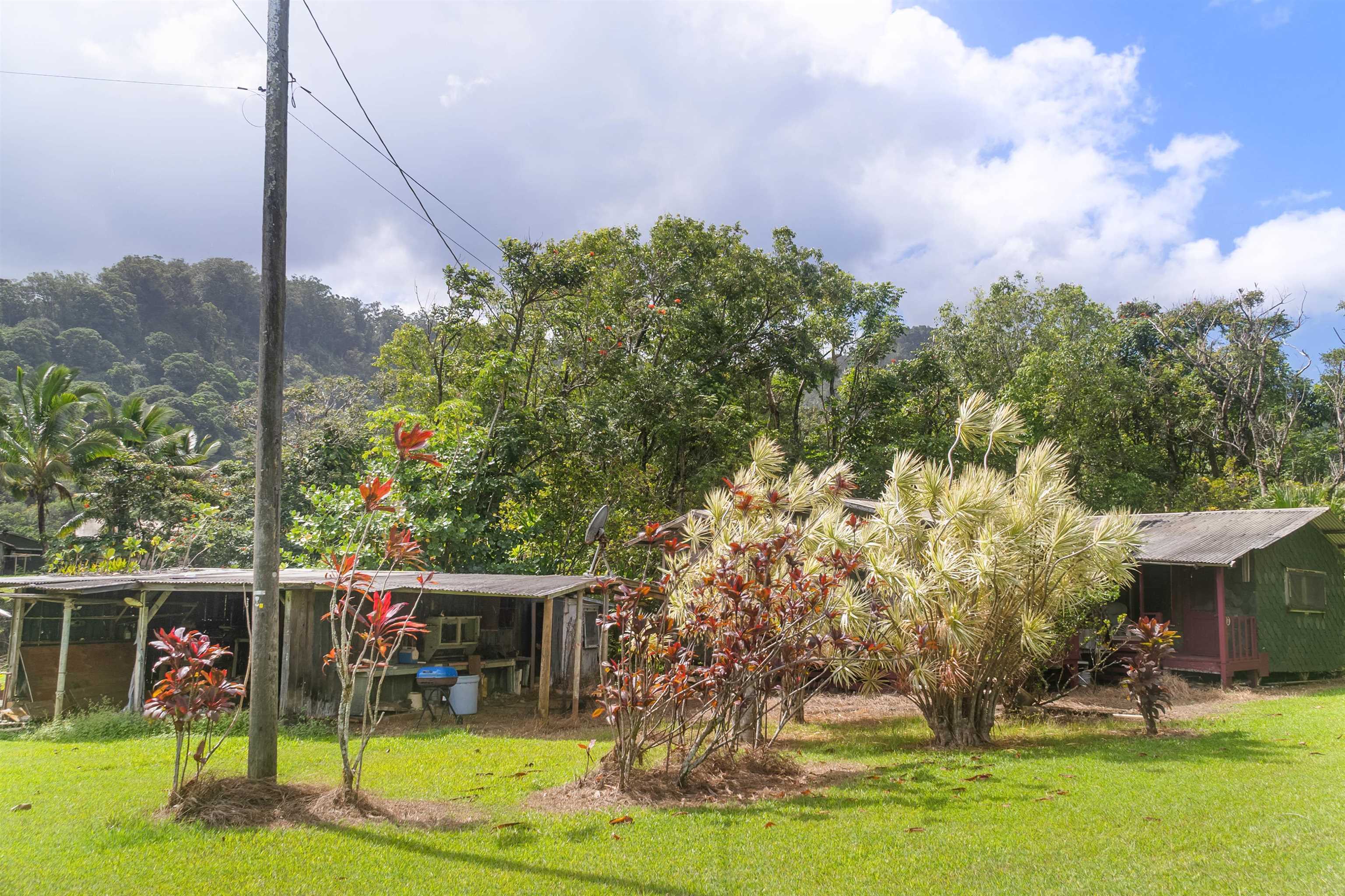 262  Wailua Rd Wailua, Keanae home - photo 26 of 38