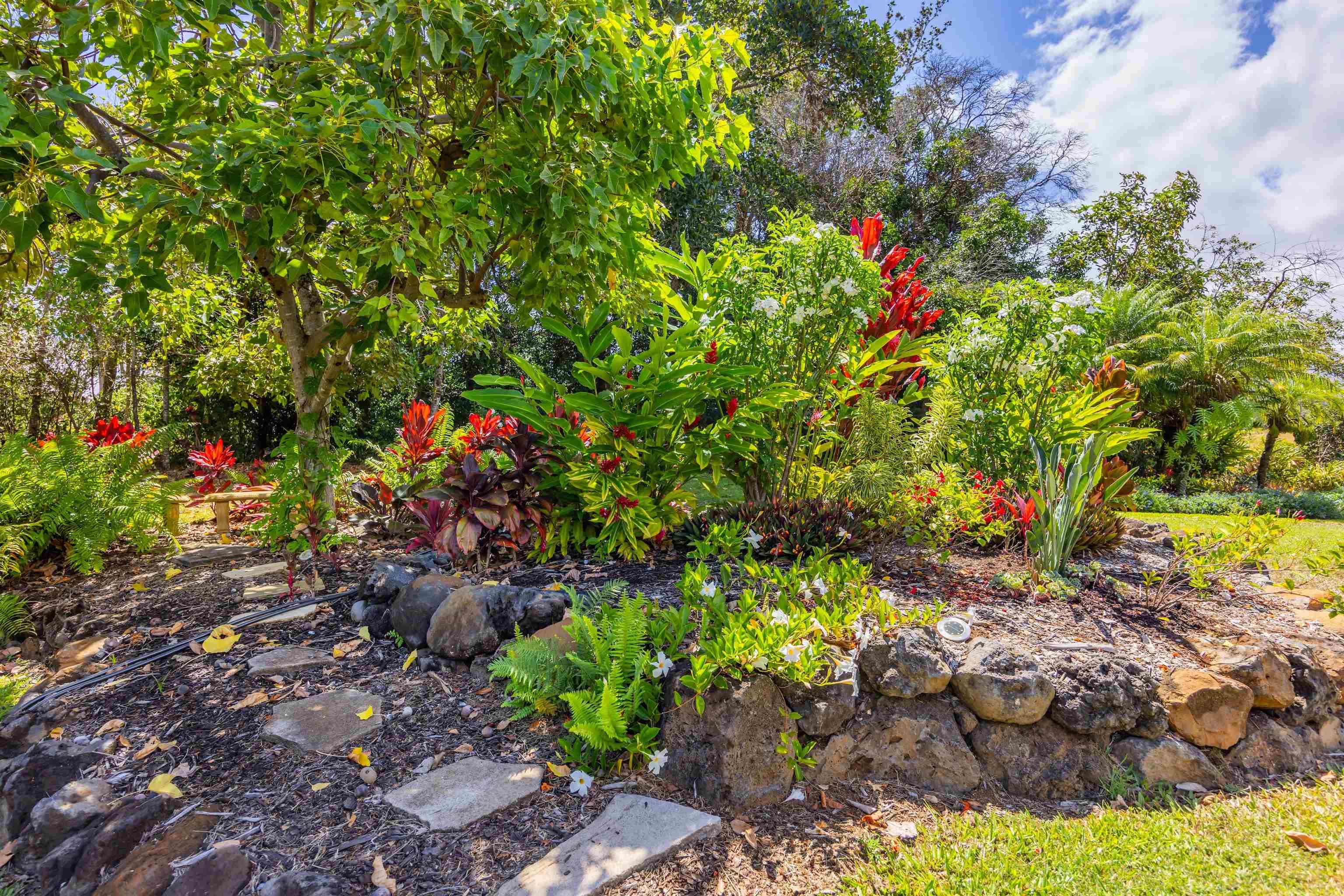 2625  Kokomo Rd , Haiku home - photo 41 of 50