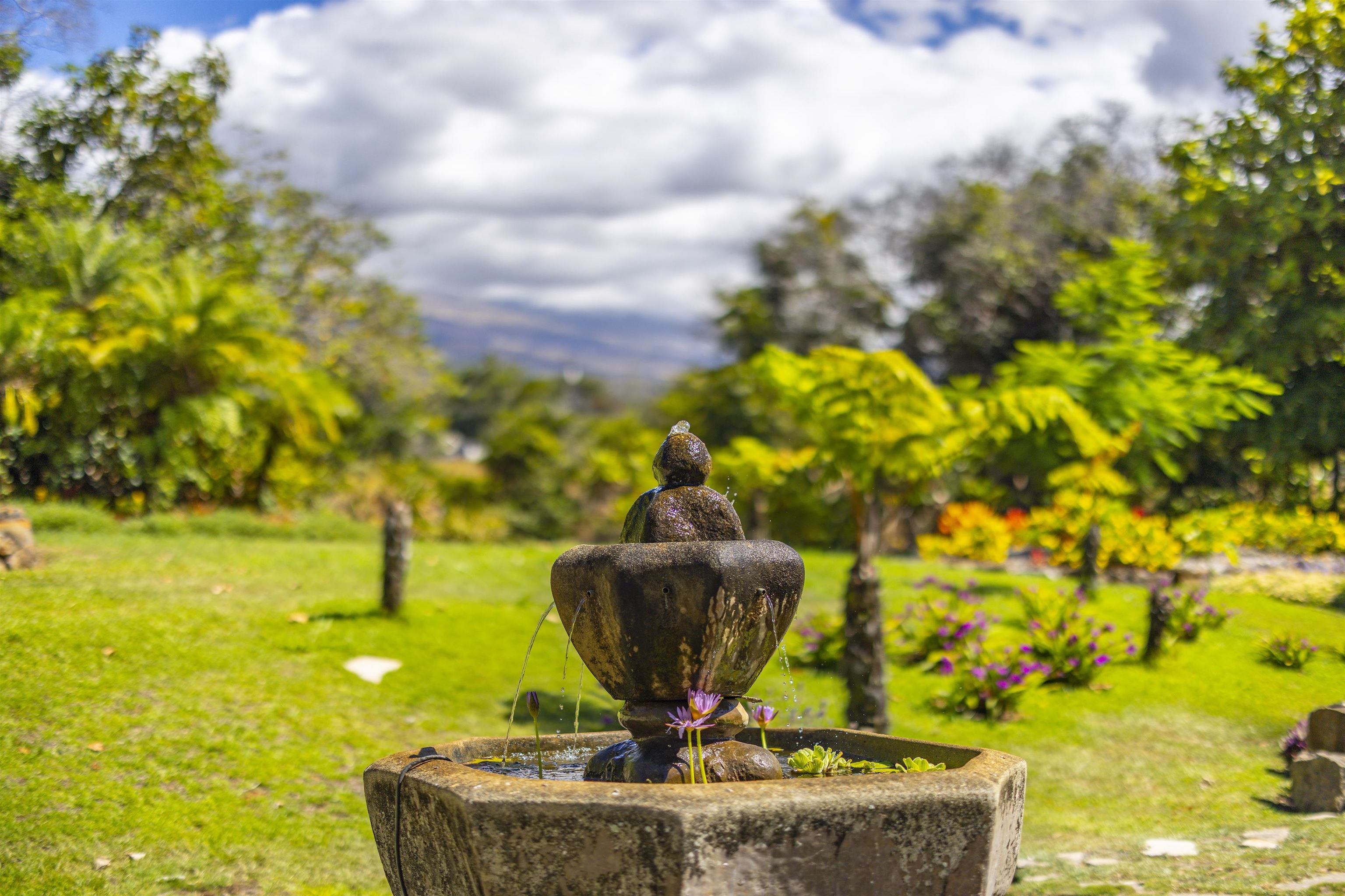 2625  Kokomo Rd , Haiku home - photo 45 of 50