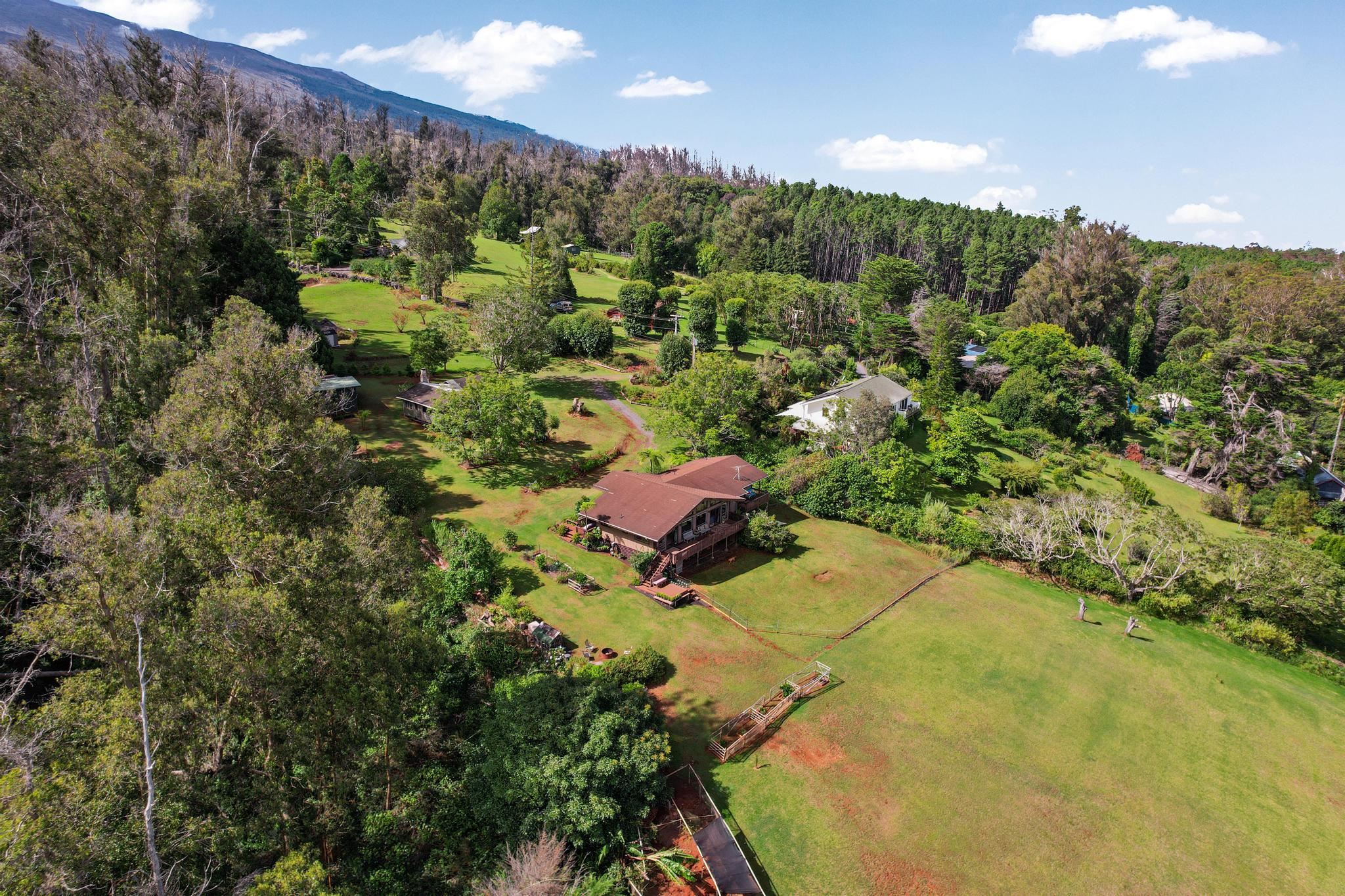 2625  Olinda Rd , Makawao/Olinda/Haliimaile home - photo 7 of 50