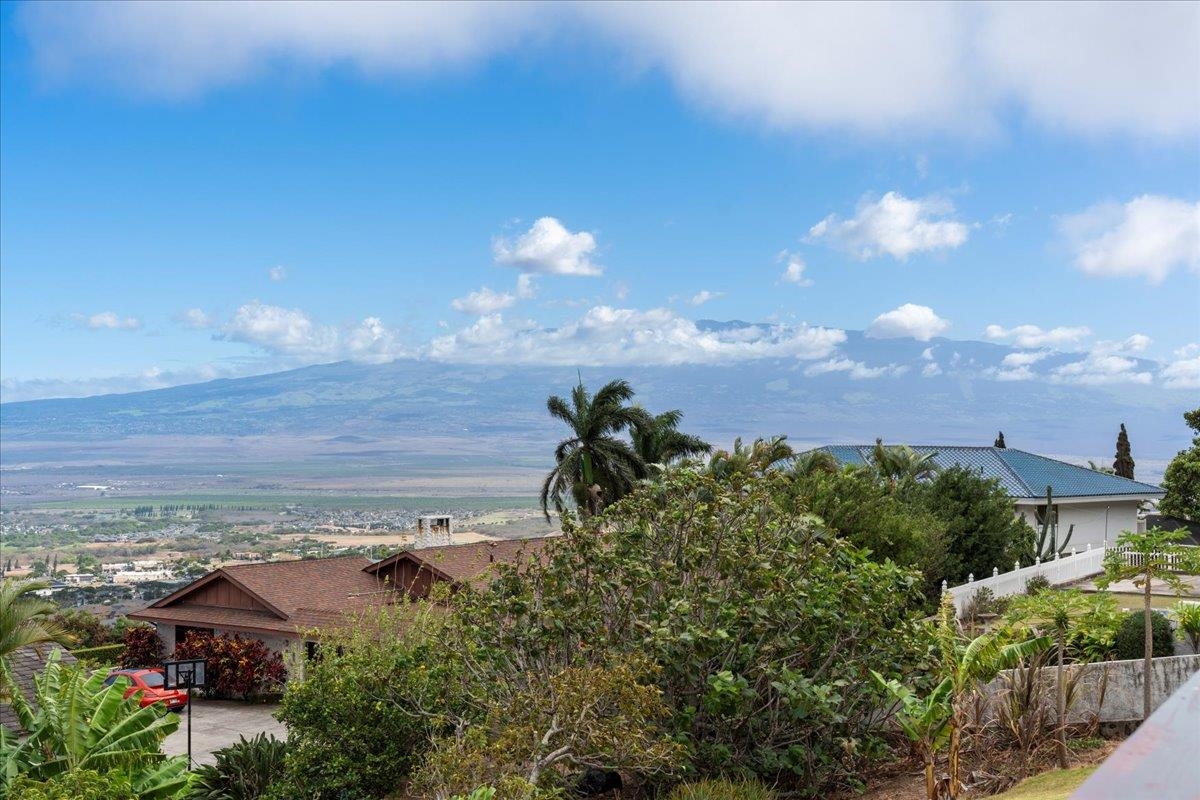 263  S Alu Rd Old Wailuku Heights, Wailuku home - photo 22 of 43