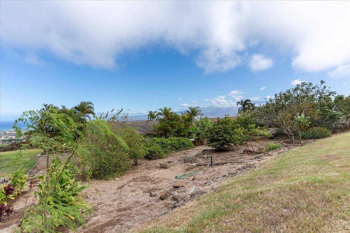 263  S Alu Rd Old Wailuku Heights, Wailuku home - photo 43 of 43