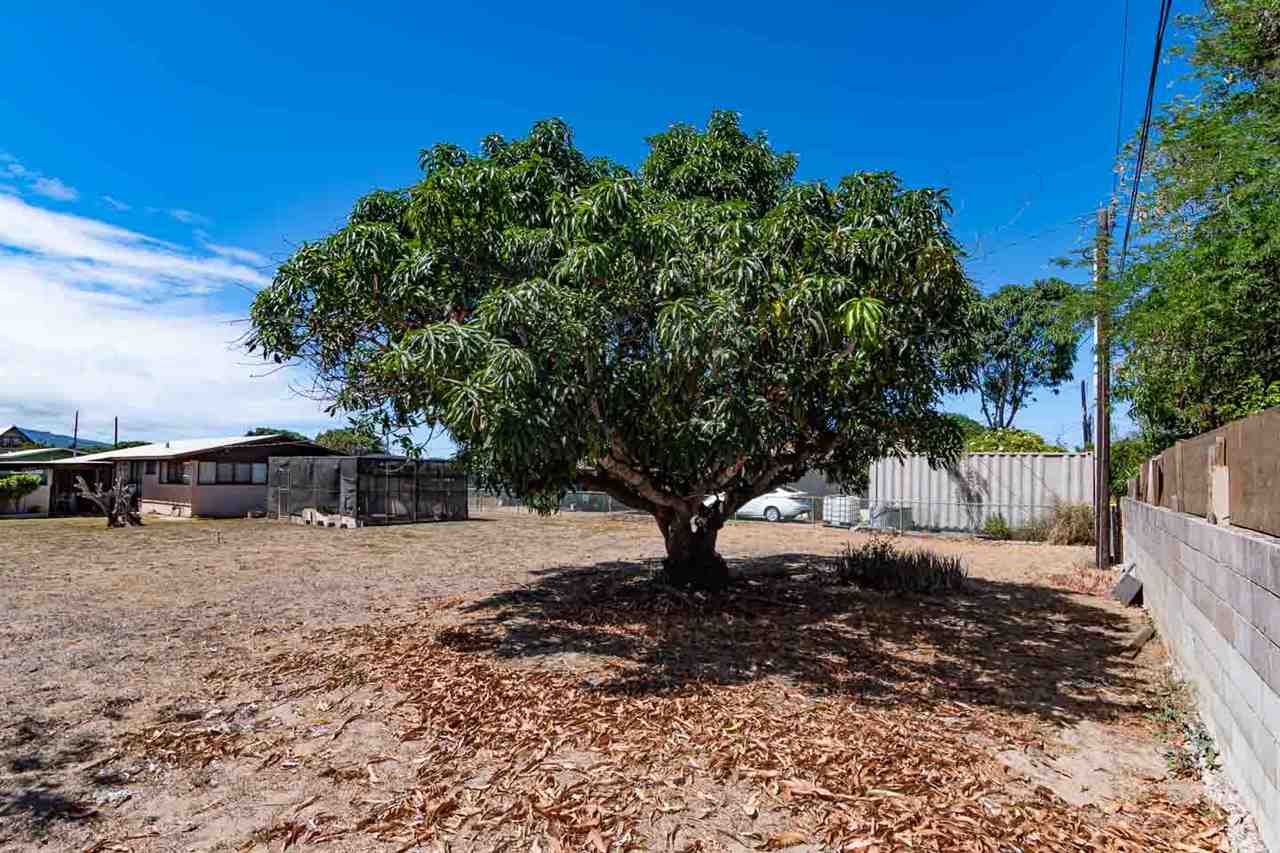 263  Kauai St Kahului Elemantary, Kahului home - photo 4 of 30