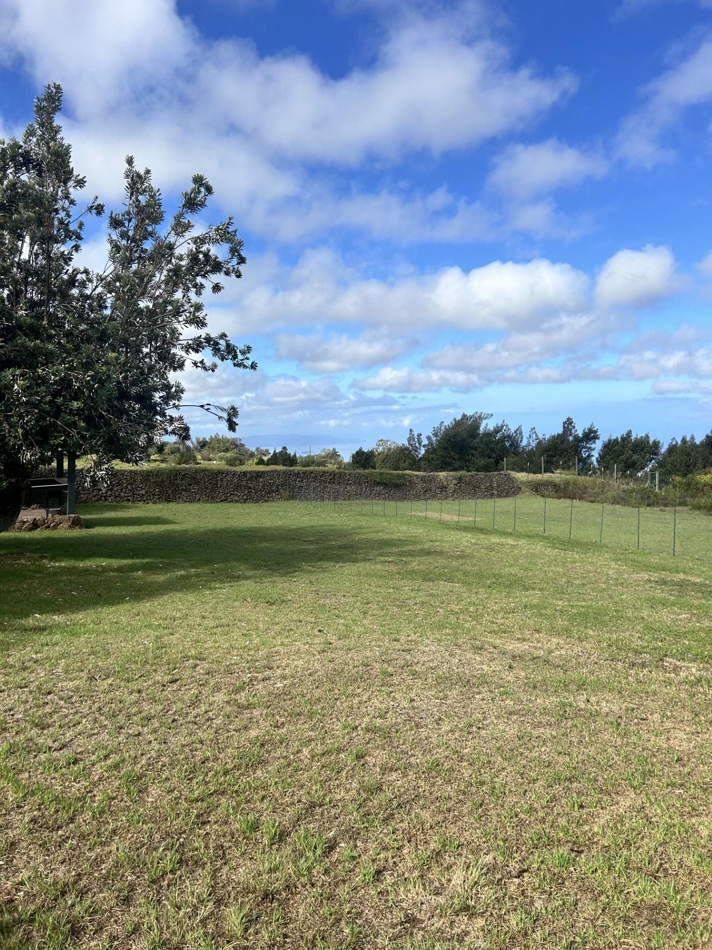 263  Kolohala Dr Kealahou Farm Lots, Kula/Ulupalakua/Kanaio home - photo 3 of 50