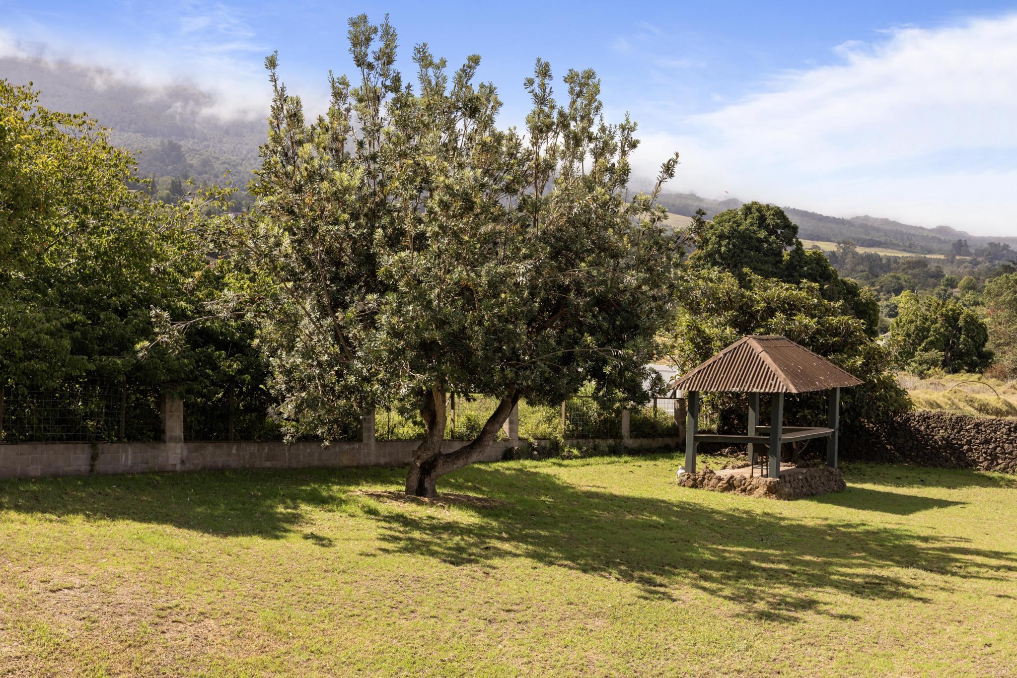 263  Kolohala Dr Kealahou Farm Lots, Kula/Ulupalakua/Kanaio home - photo 41 of 50