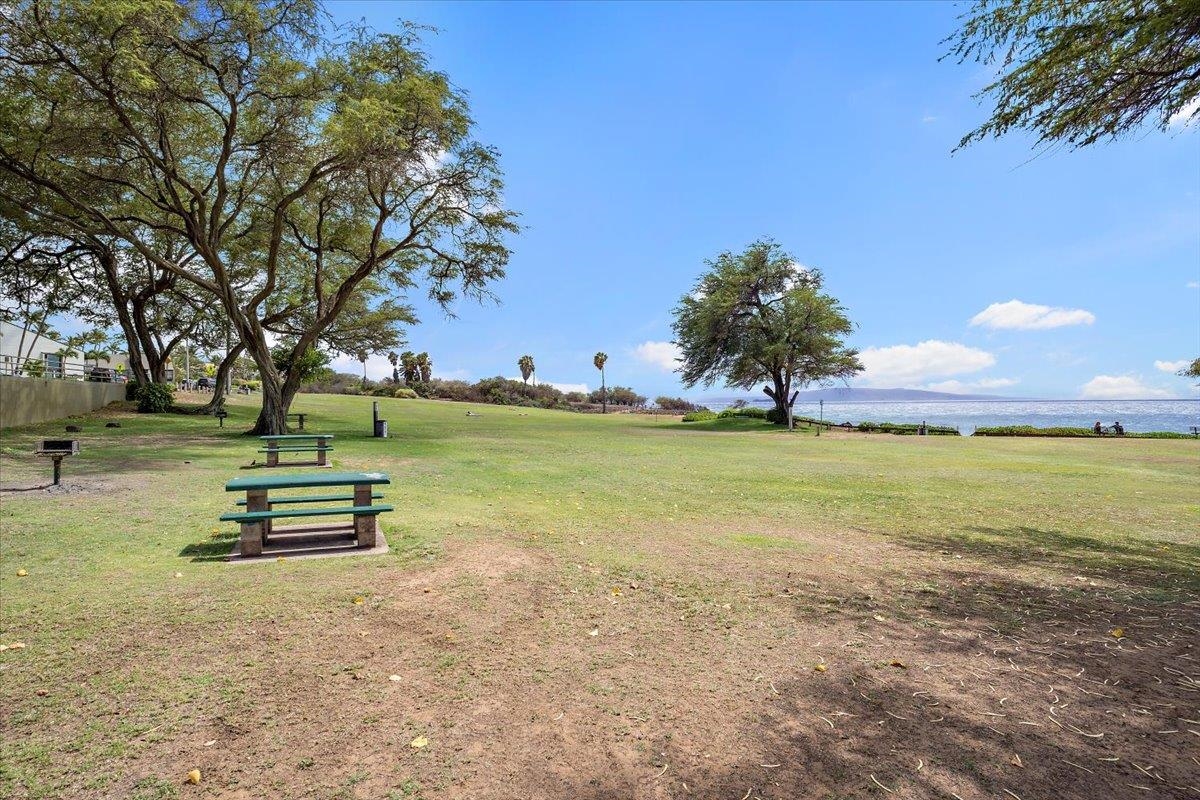 2635  Lioholo Pl Keonekai Heights, Kihei home - photo 41 of 43