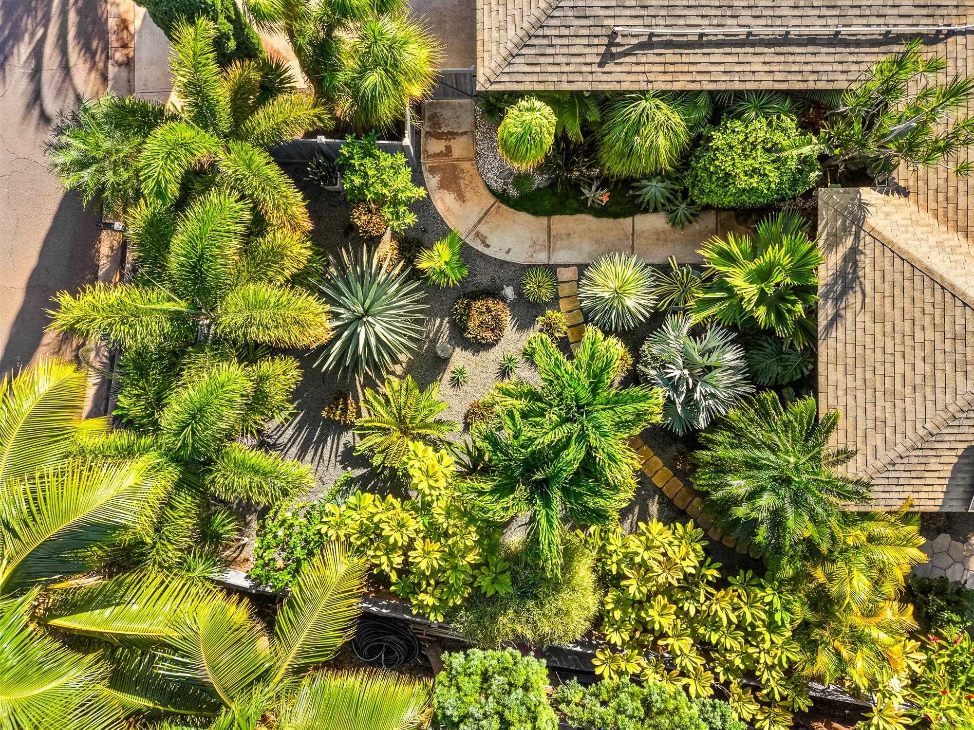 264  Palanehe St , Kihei home - photo 3 of 48