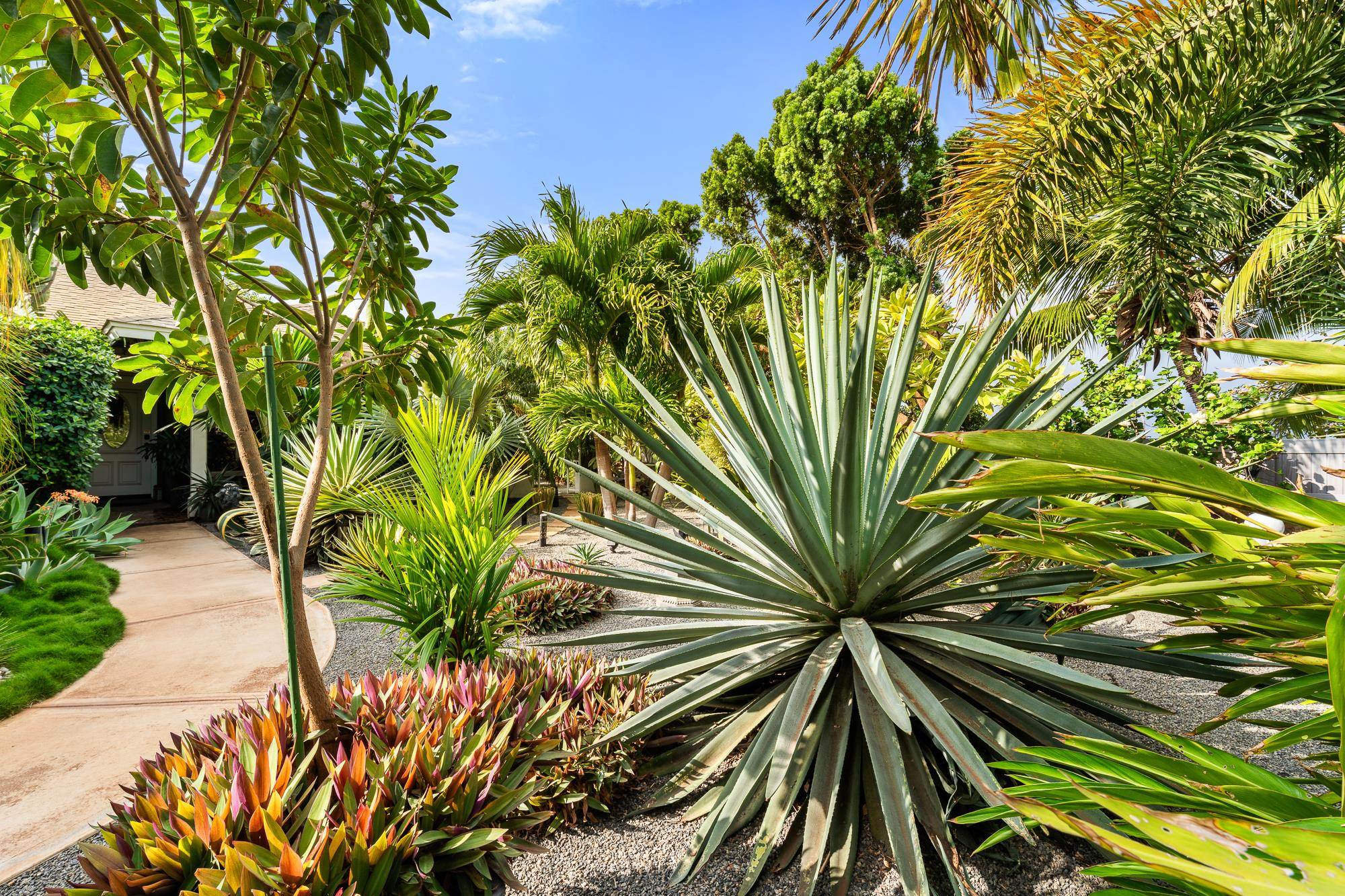 264  Palanehe St , Kihei home - photo 42 of 48