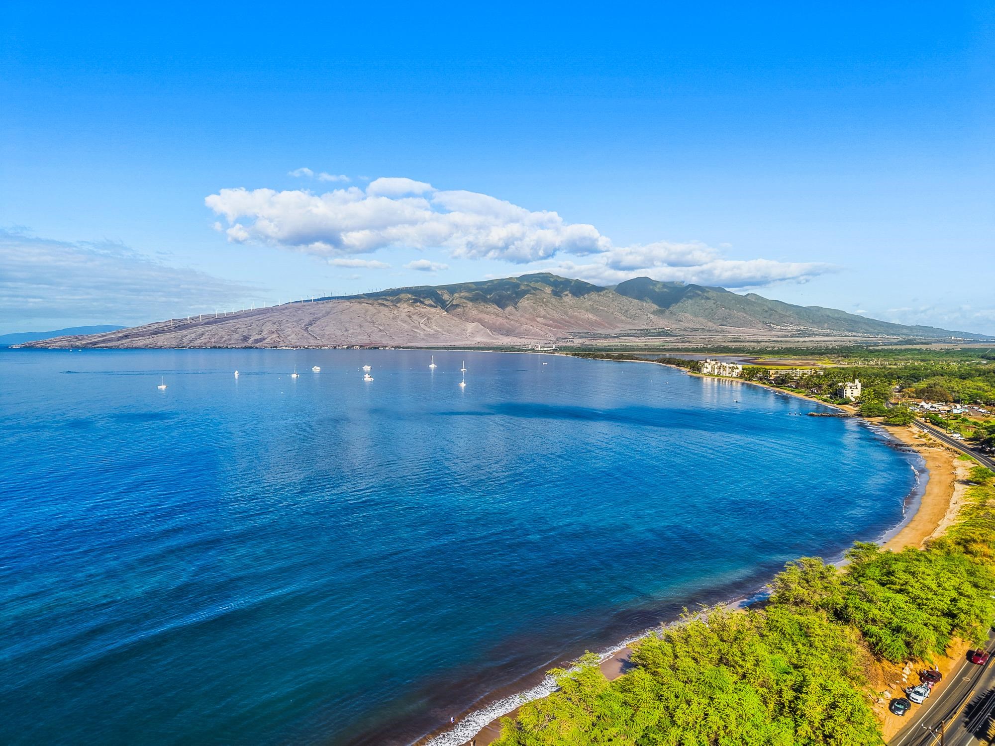 264  Palanehe St , Kihei home - photo 46 of 48