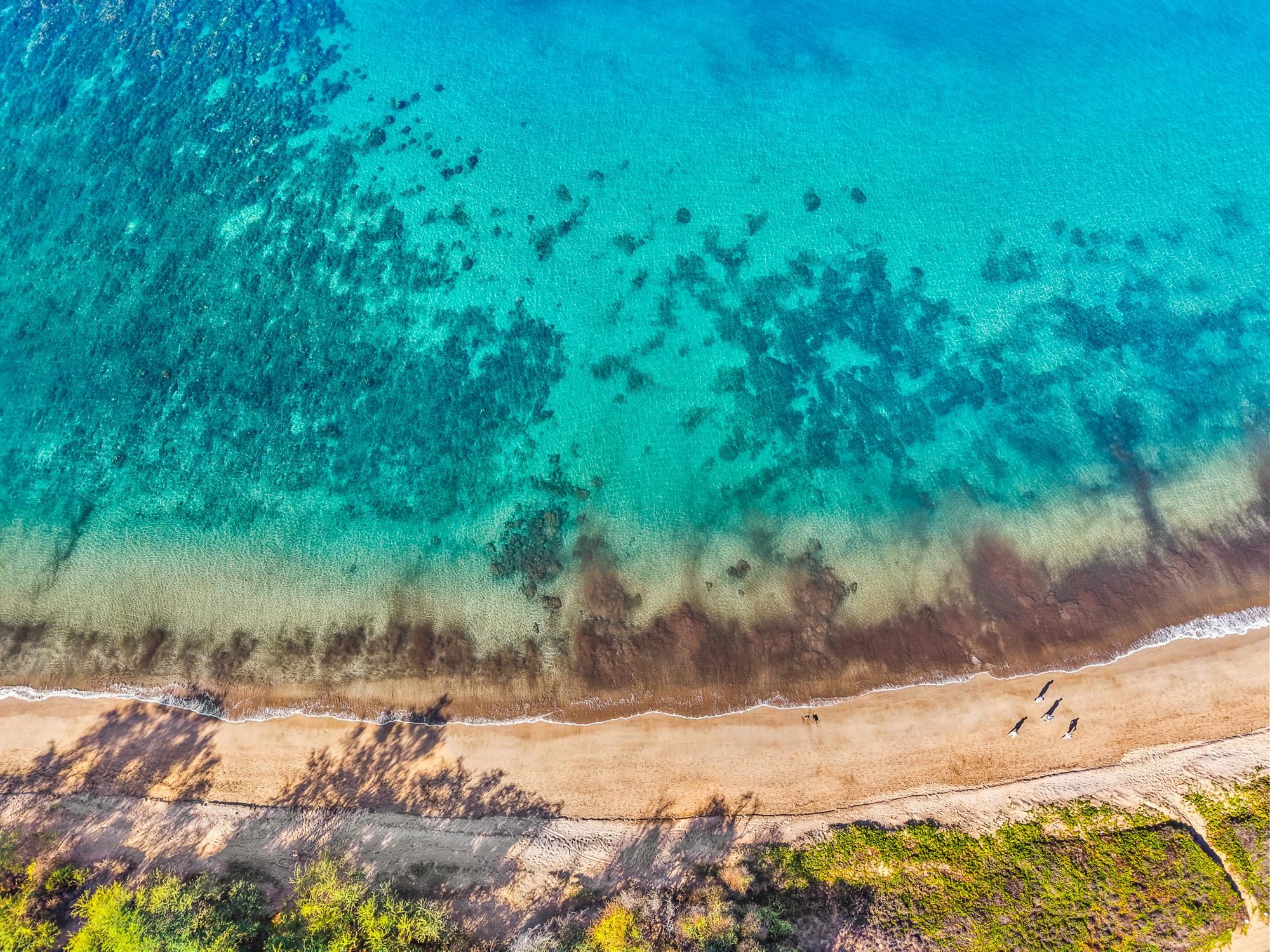 264  Palanehe St , Kihei home - photo 47 of 48