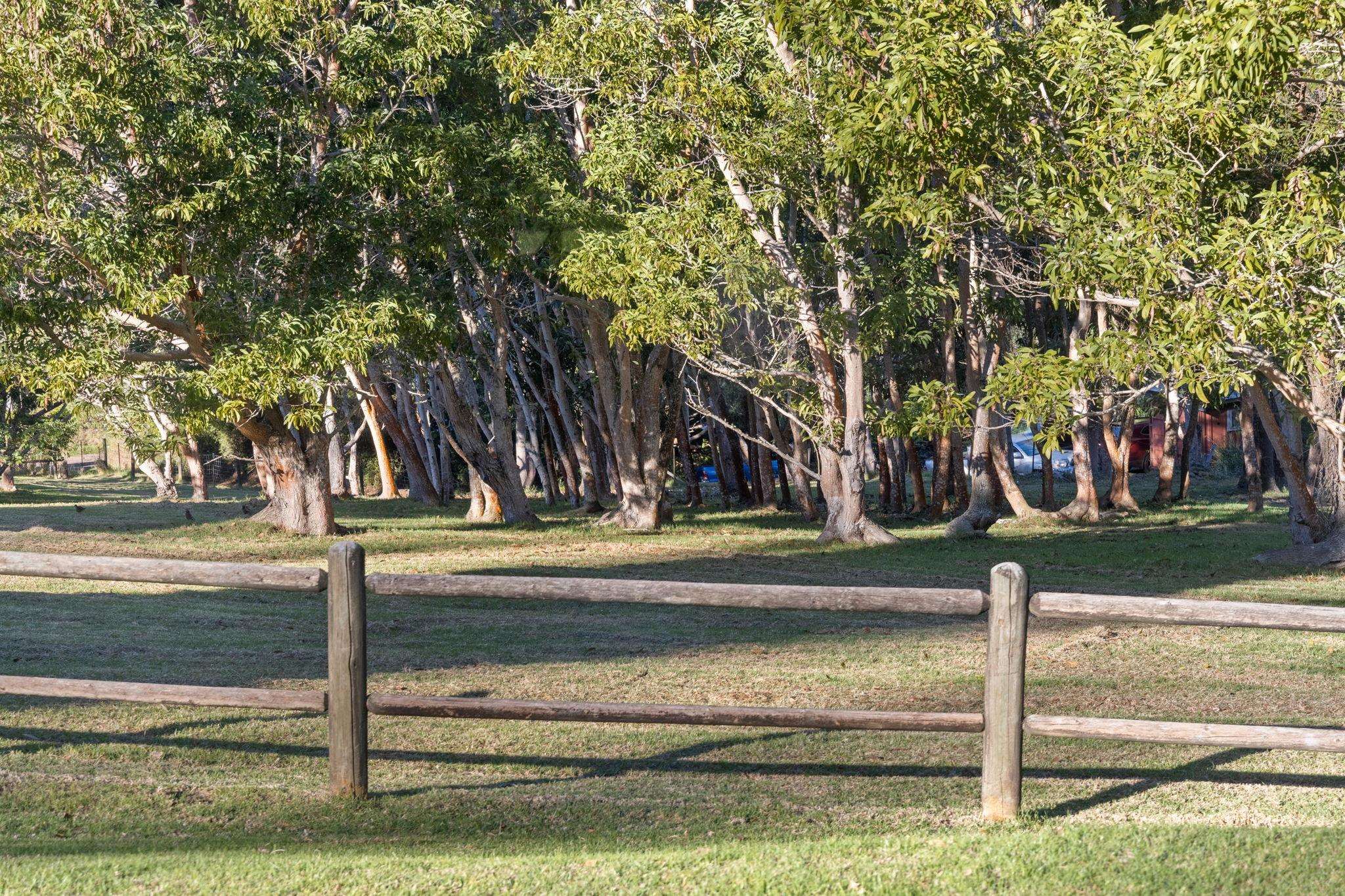 2640  Olinda Rd Olinda, Makawao/Olinda/Haliimaile home - photo 18 of 49