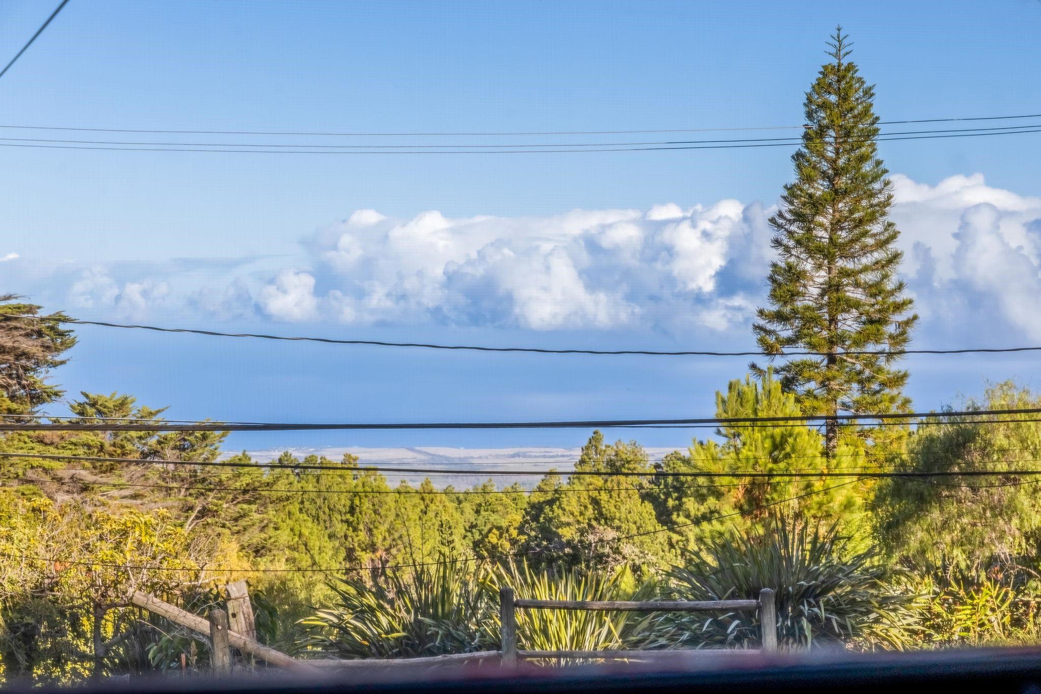 2640  Olinda Rd Olinda, Makawao/Olinda/Haliimaile home - photo 45 of 49