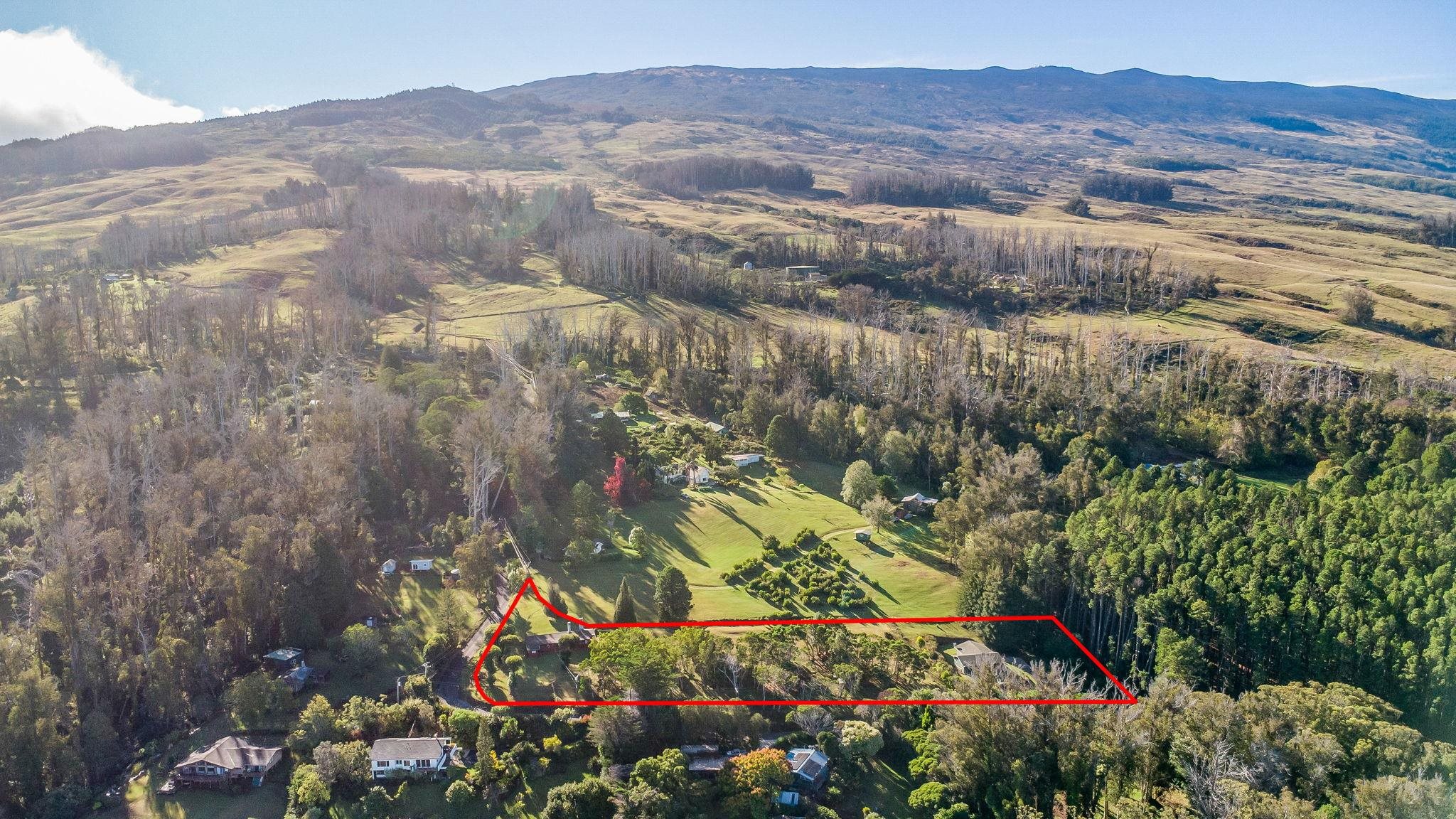 2640  Olinda Rd Olinda, Makawao/Olinda/Haliimaile home - photo 7 of 49