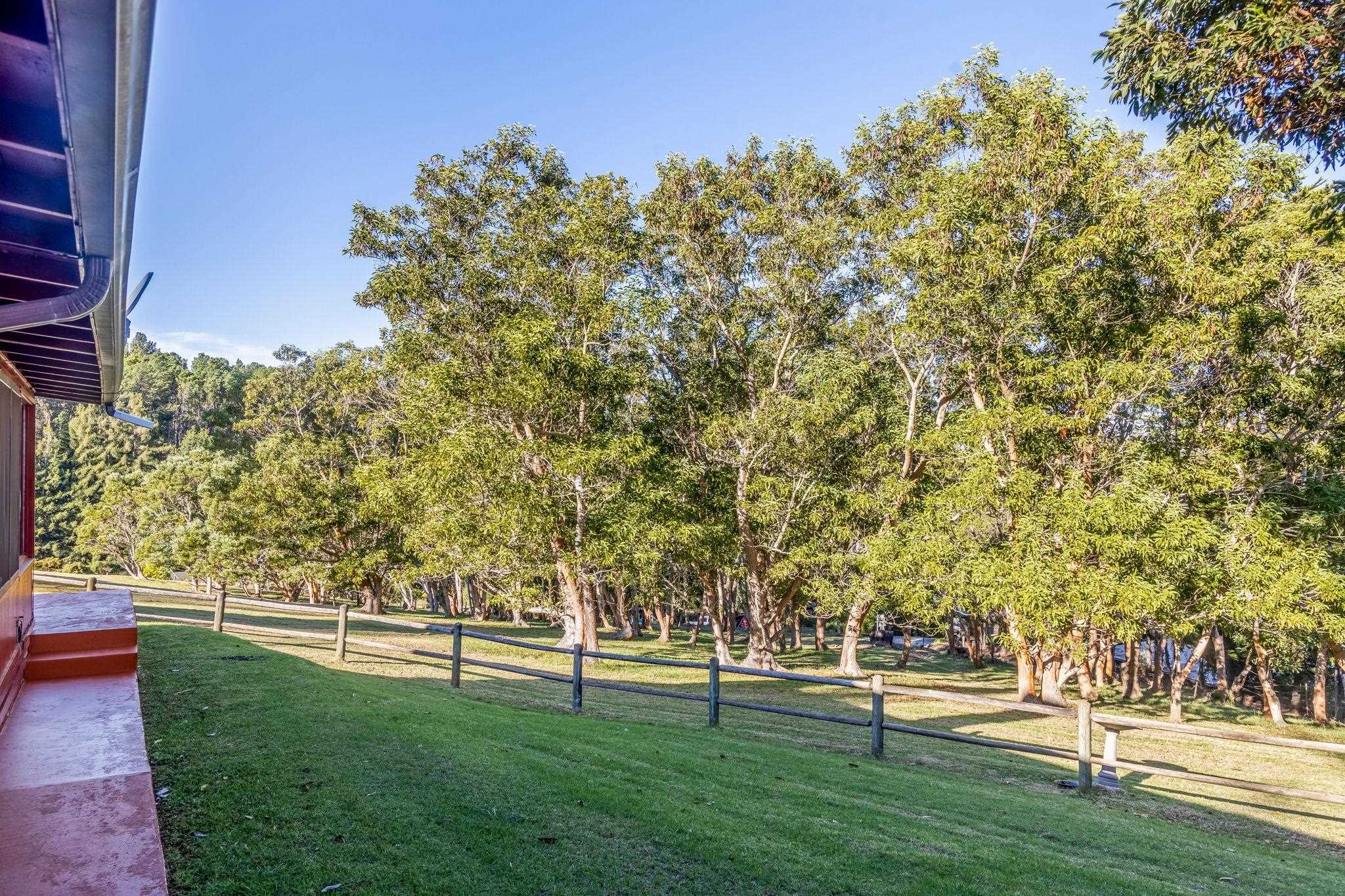 2640  Olinda Rd Olinda, Makawao/Olinda/Haliimaile home - photo 14 of 49