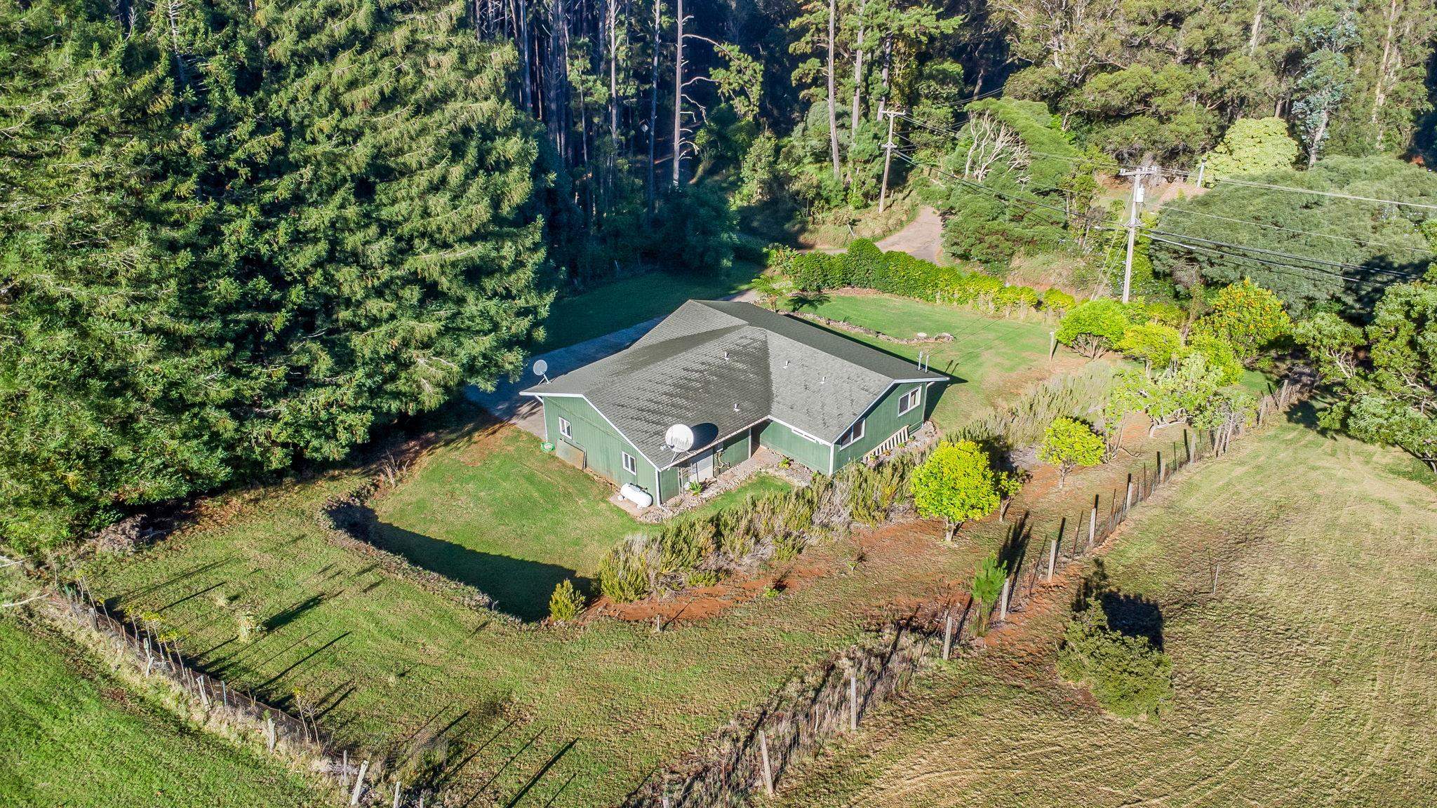 2640  Olinda Rd Olinda, Makawao/Olinda/Haliimaile home - photo 24 of 49