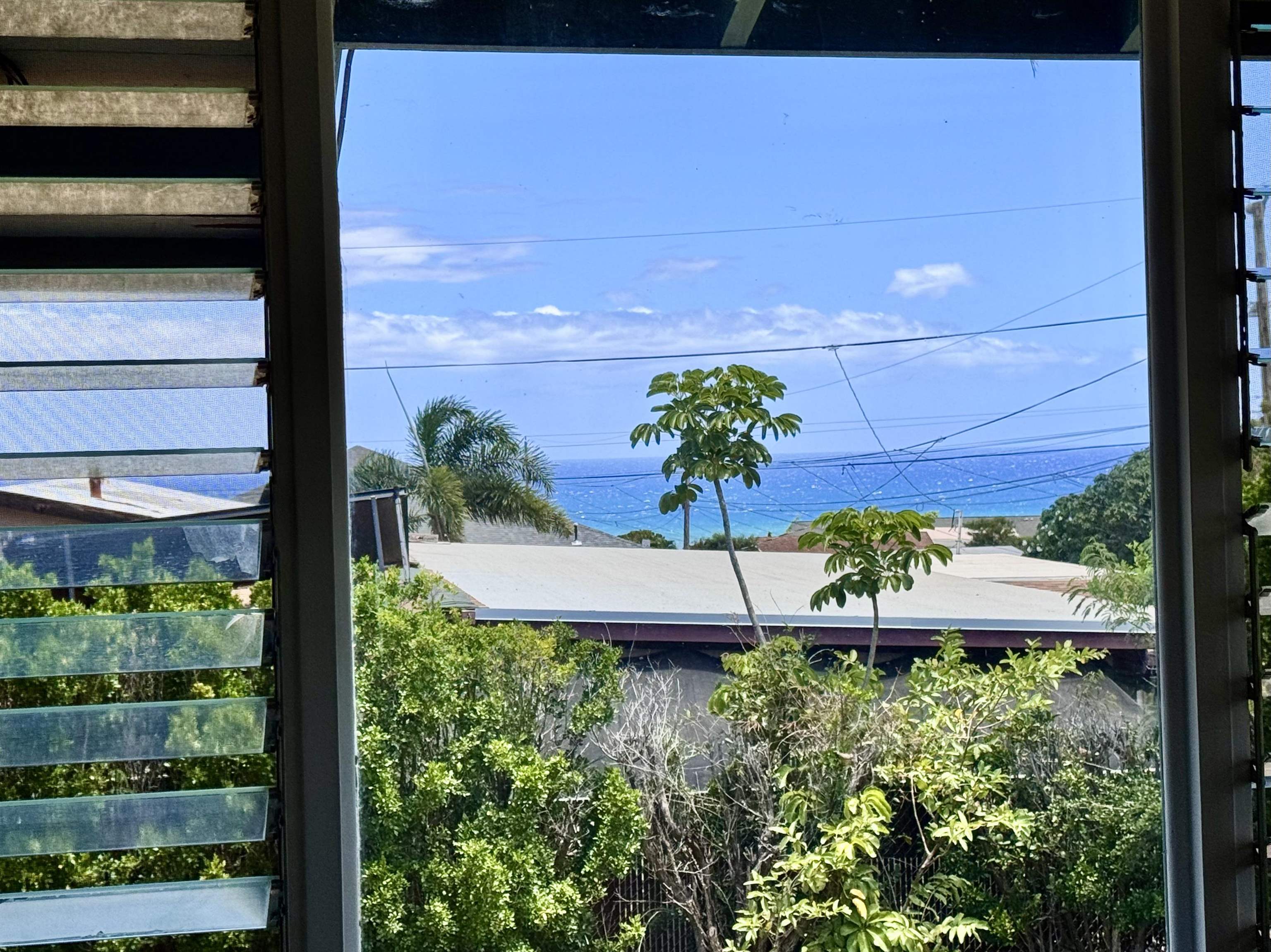 265  Aahi Pl , Molokai home - photo 2 of 43