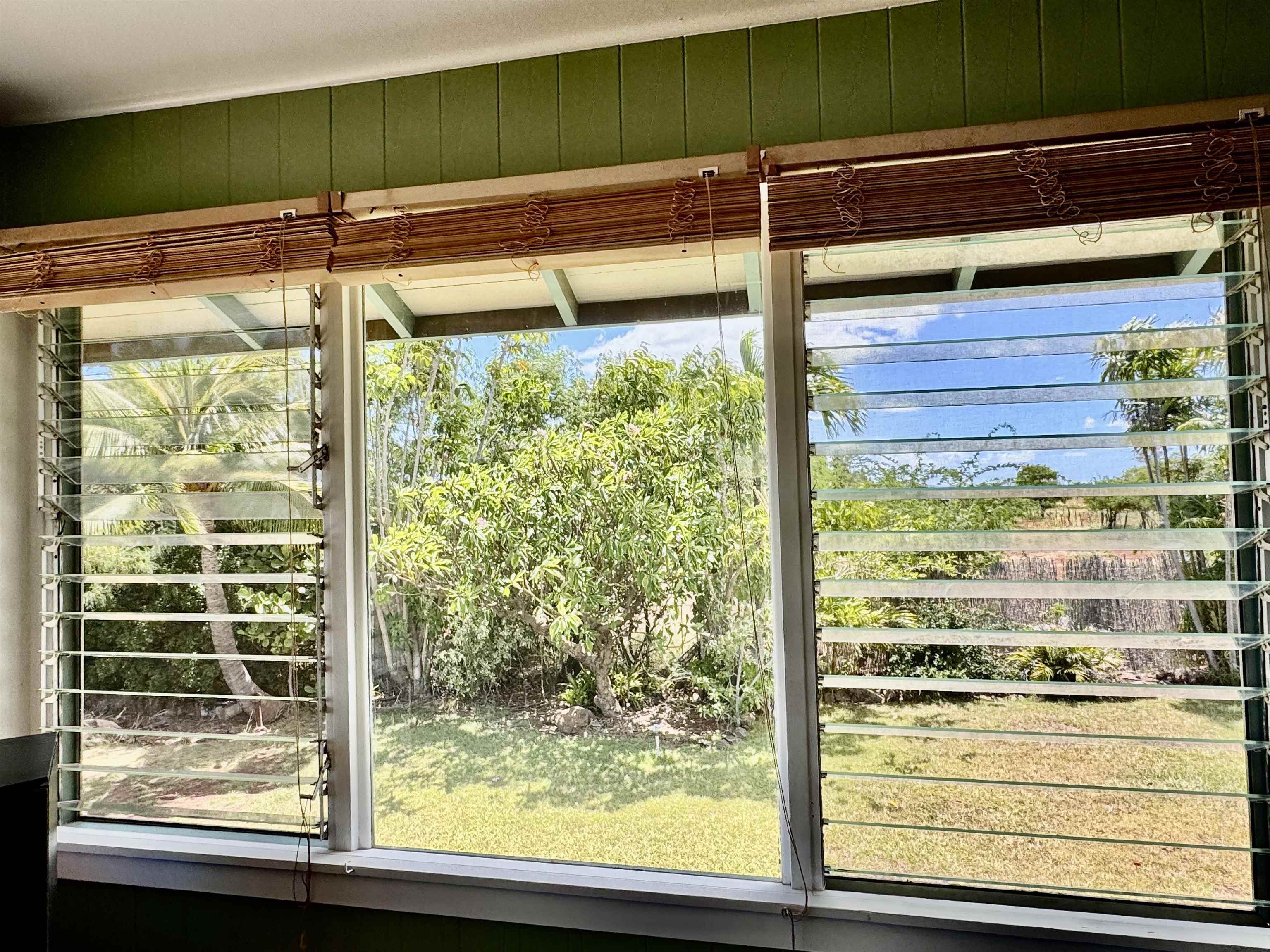265  Aahi Pl , Molokai home - photo 4 of 43