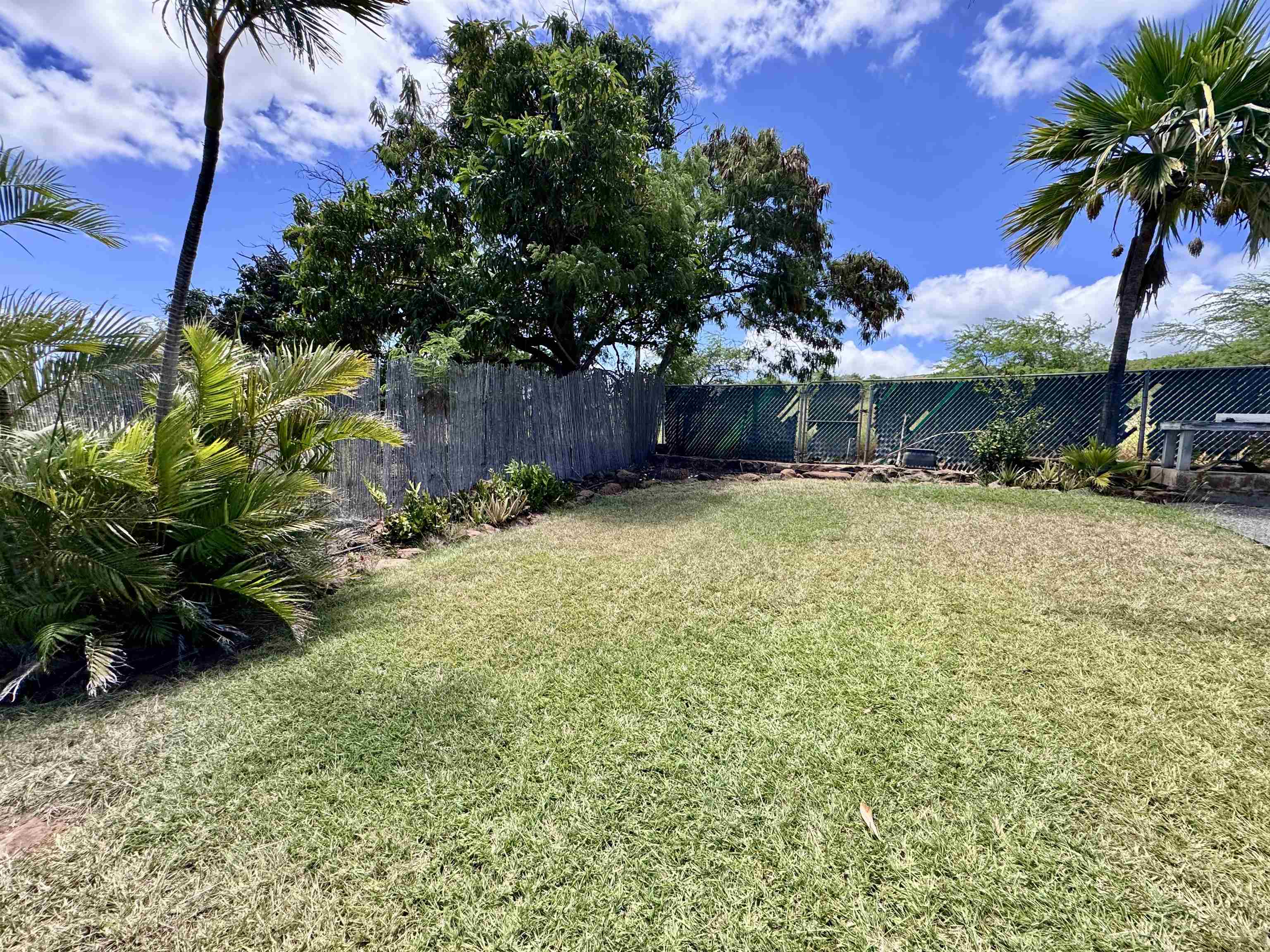265  Aahi Pl , Molokai home - photo 37 of 43