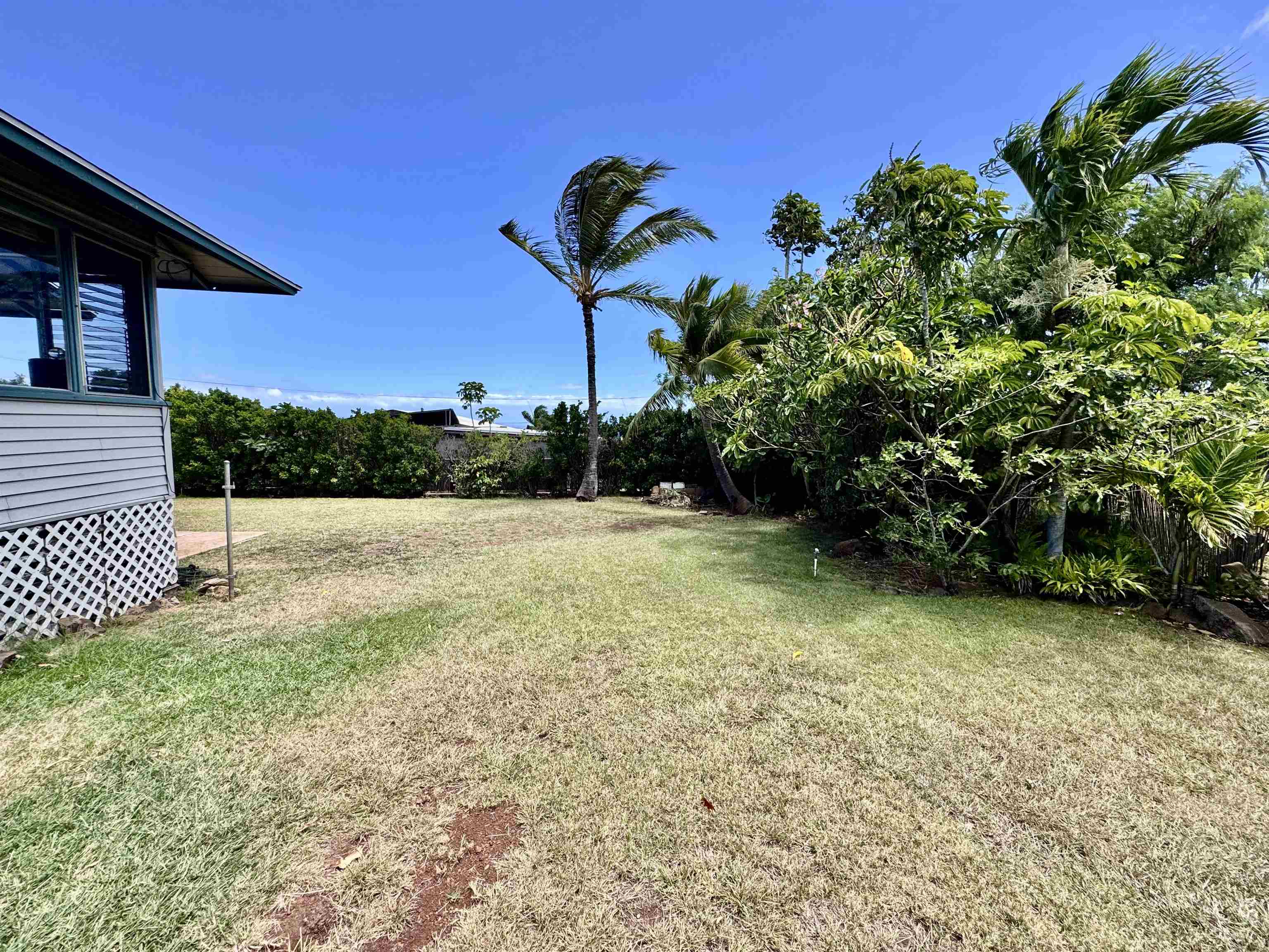 265  Aahi Pl , Molokai home - photo 39 of 43