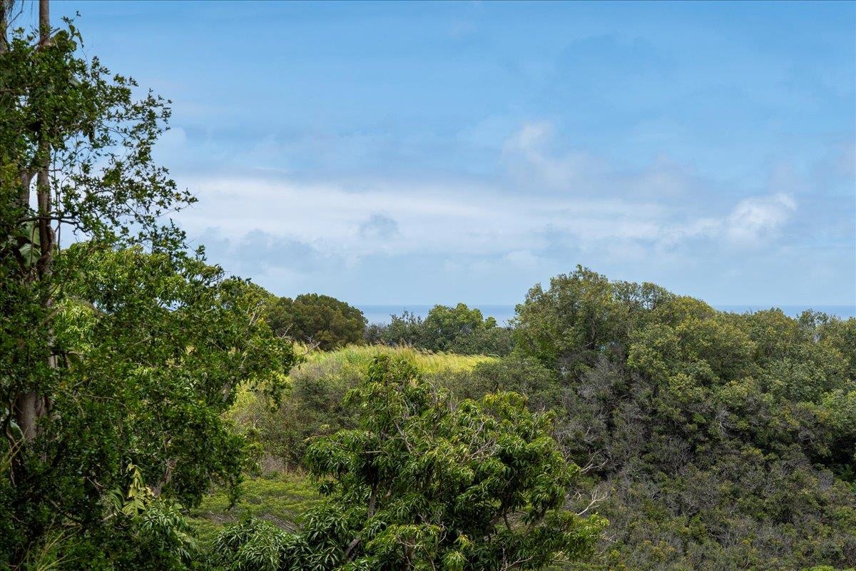 265  Hahana Rd , Haiku home - photo 31 of 48