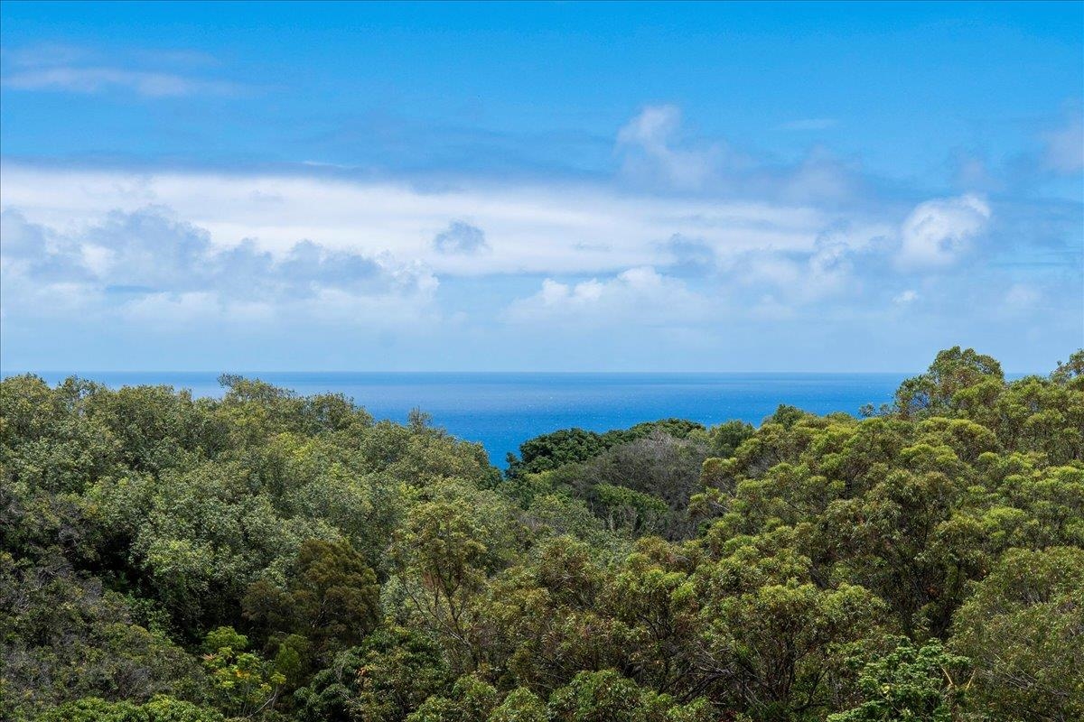 265  Hahana Rd , Haiku home - photo 32 of 48