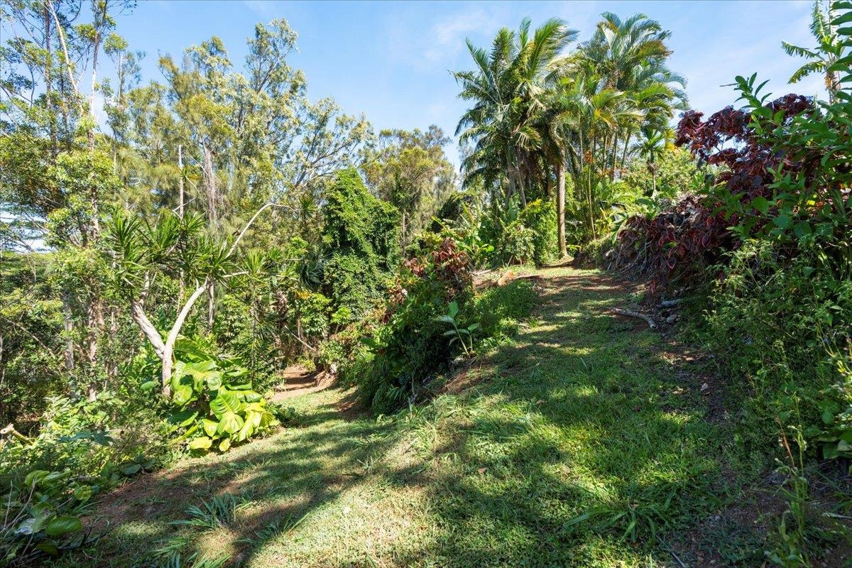 265  Hahana Rd , Haiku home - photo 34 of 49
