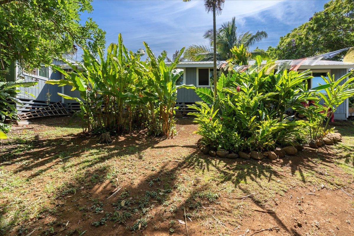 265  Hahana Rd , Haiku home - photo 35 of 49