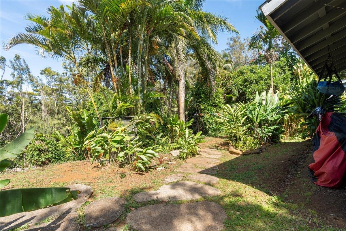 265  Hahana Rd , Haiku home - photo 36 of 49