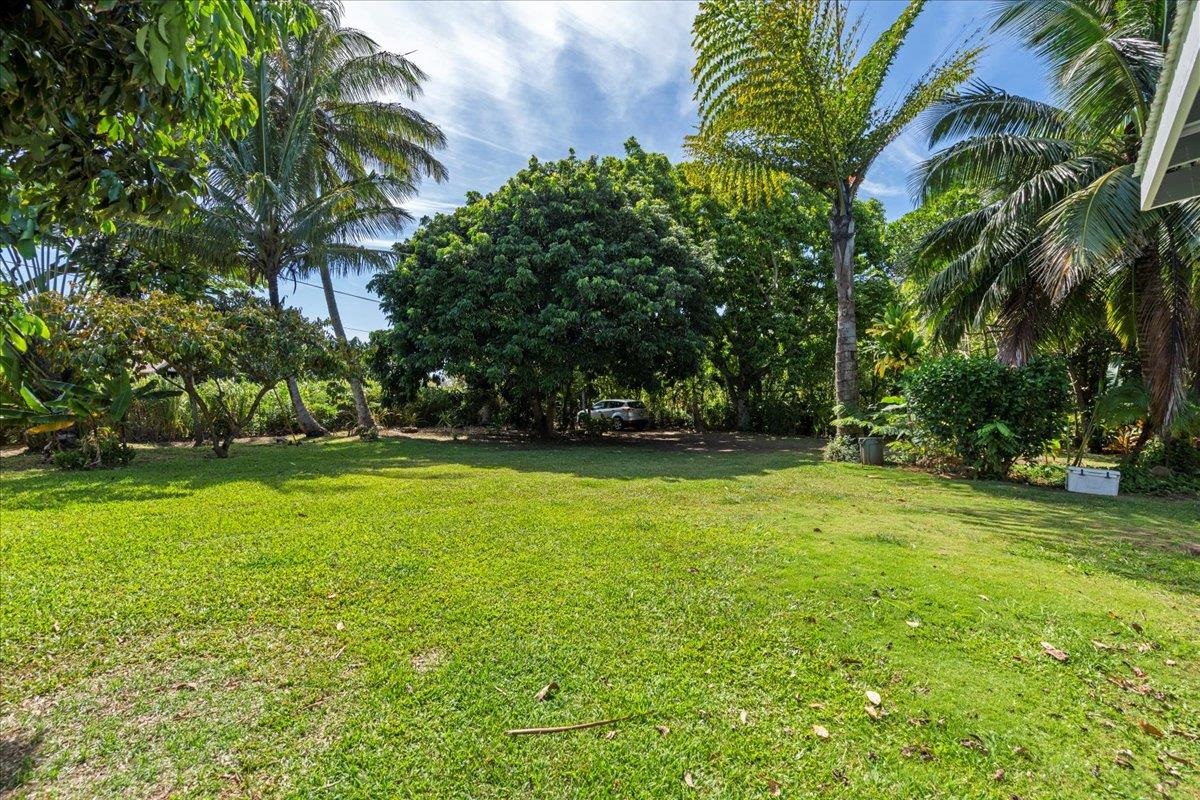 265  Hahana Rd , Haiku home - photo 38 of 49