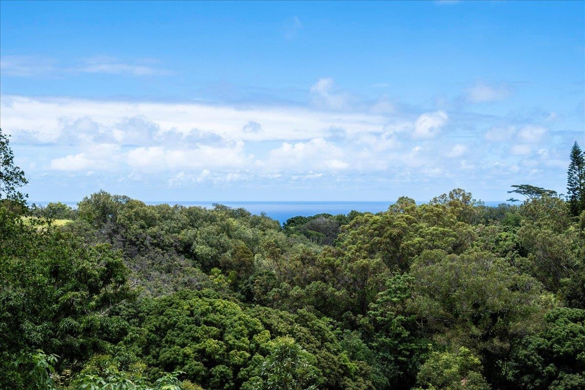 265  Hahana Rd , Haiku home - photo 39 of 48