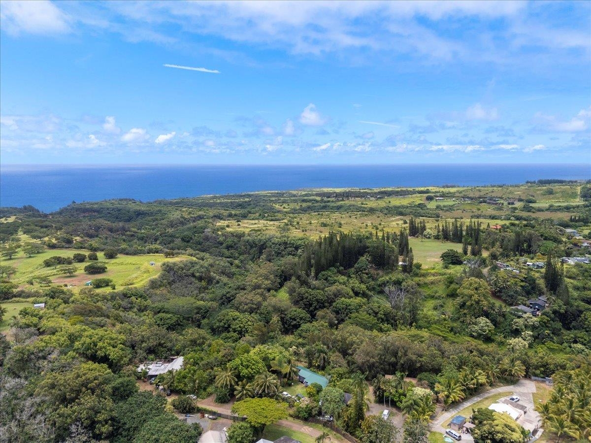 265  Hahana Rd , Haiku home - photo 41 of 48