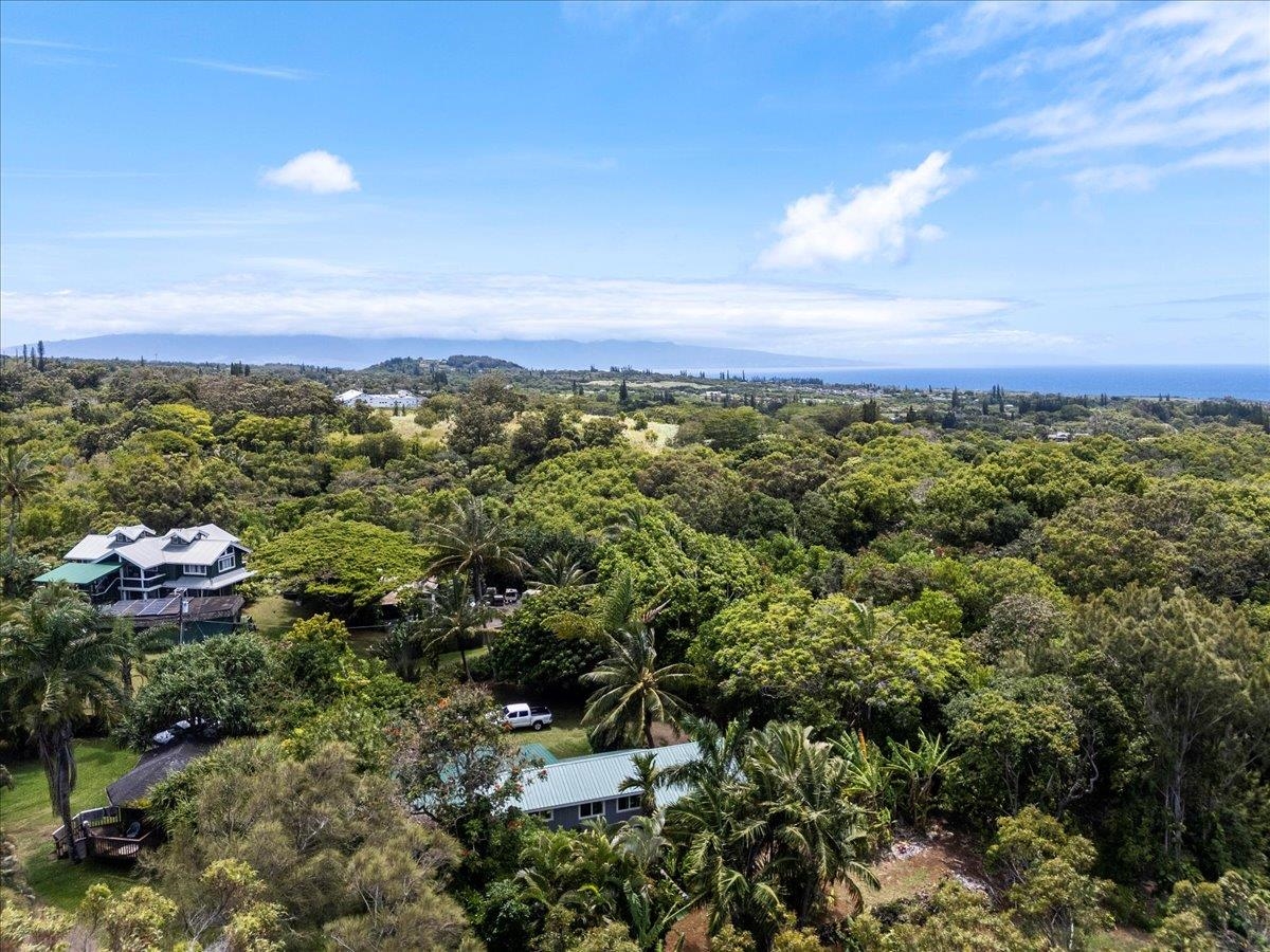 265  Hahana Rd , Haiku home - photo 44 of 49