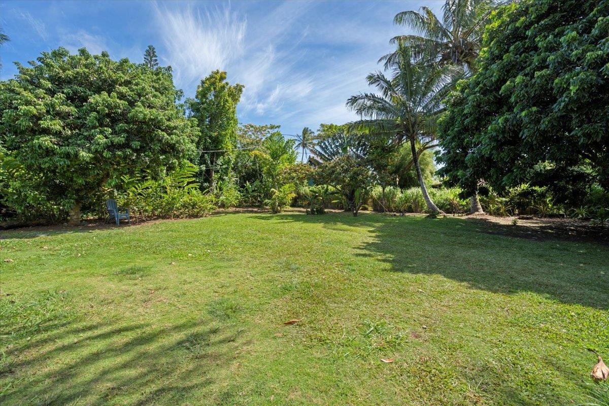 265  Hahana Rd , Haiku home - photo 47 of 49