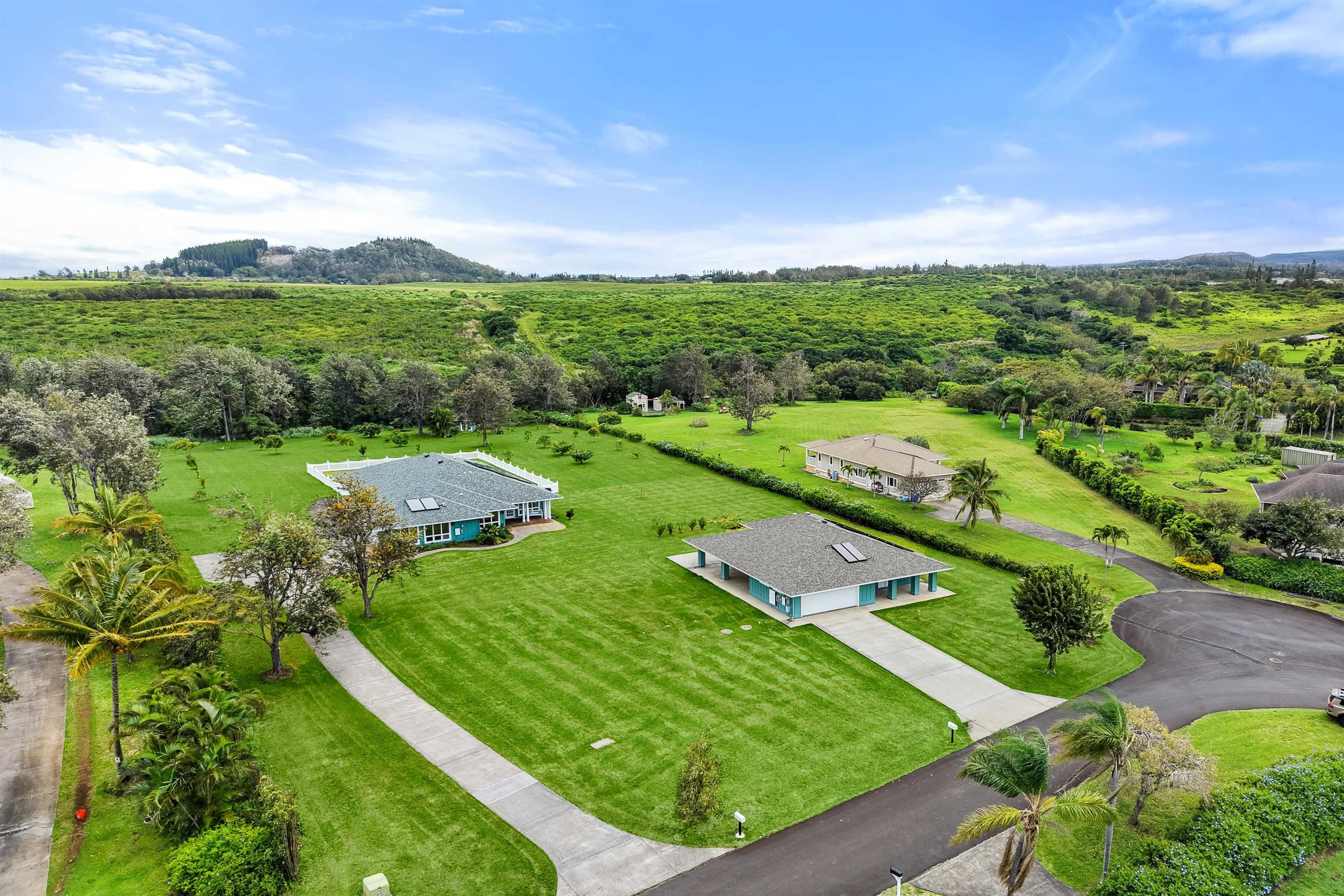 265  Ohaoha Pl Maunaolu Plantation Estat, Makawao/Olinda/Haliimaile home - photo 28 of 29