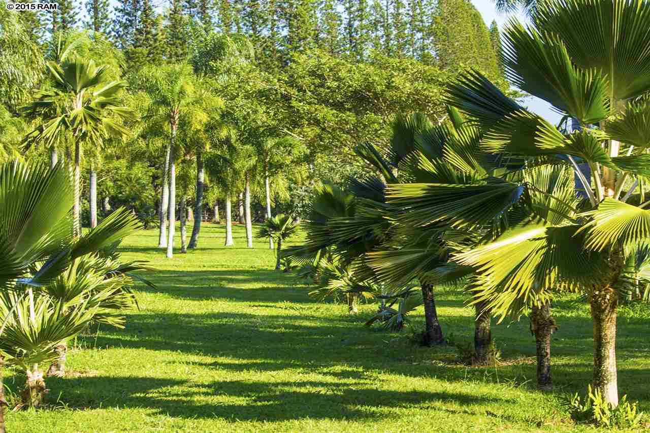 2651  Kalanikahua Rd Baldwin Subdivision, Haiku home - photo 5 of 22