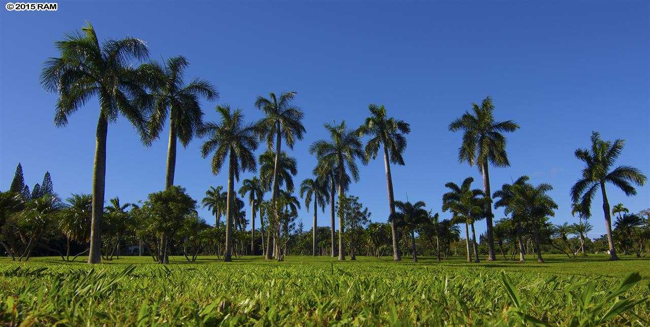 2651  Kalanikahua Rd Baldwin Subdivision, Haiku home - photo 6 of 22