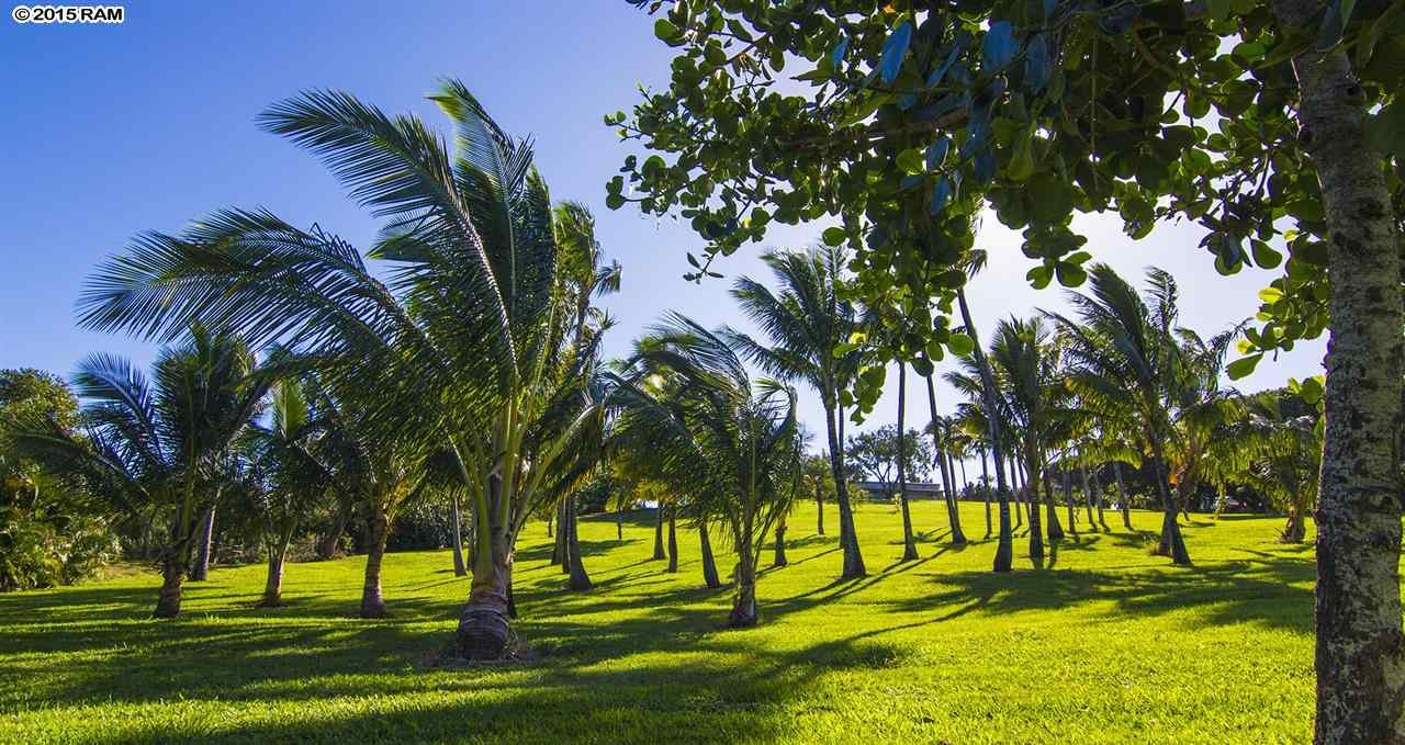 2651  Kalanikahua Rd Baldwin Subdivision, Haiku home - photo 7 of 22