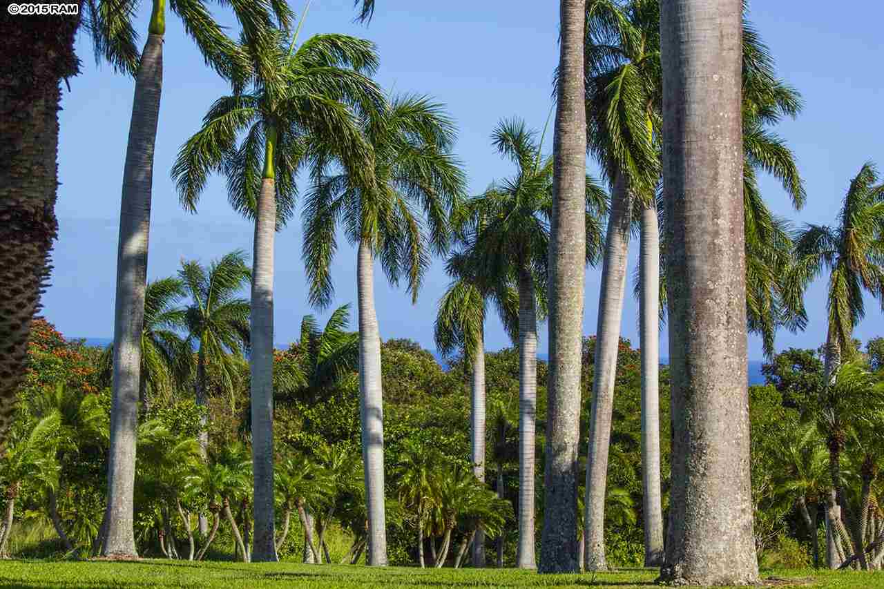 2651  Kalanikahua Rd Baldwin Subdivision, Haiku home - photo 8 of 22