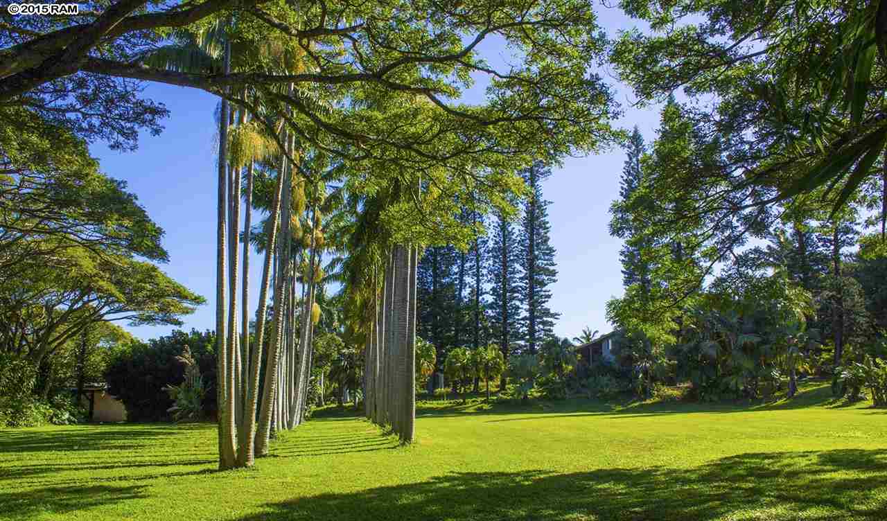 2651  Kalanikahua Rd Baldwin Subdivision, Haiku home - photo 10 of 22