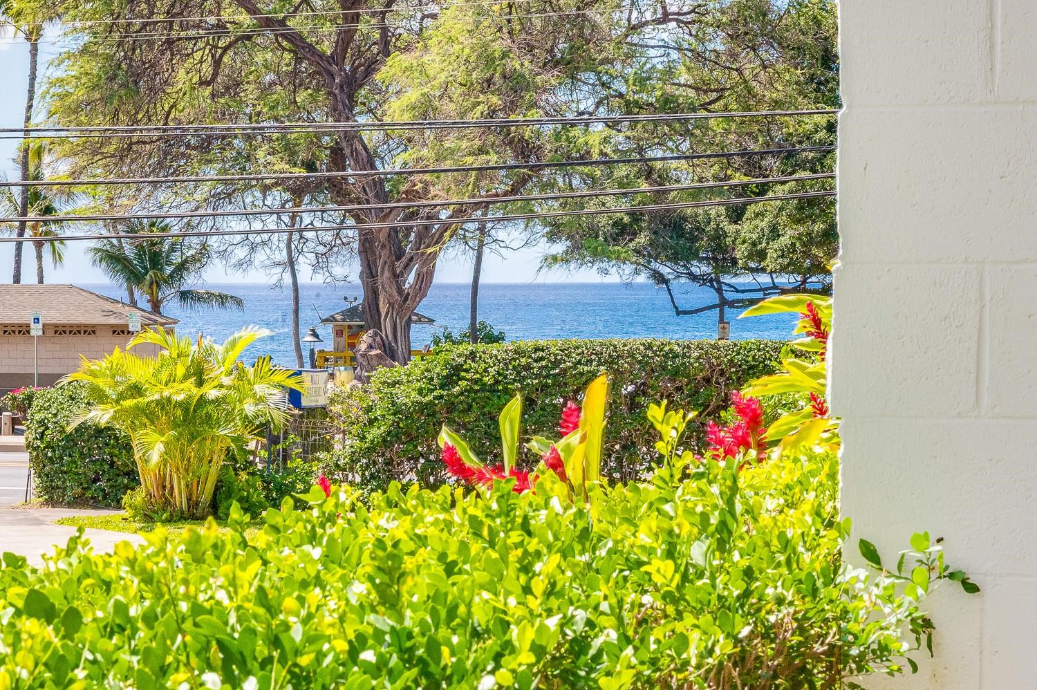 Maui Parkshore condo # 105, Kihei, Hawaii - photo 44 of 50