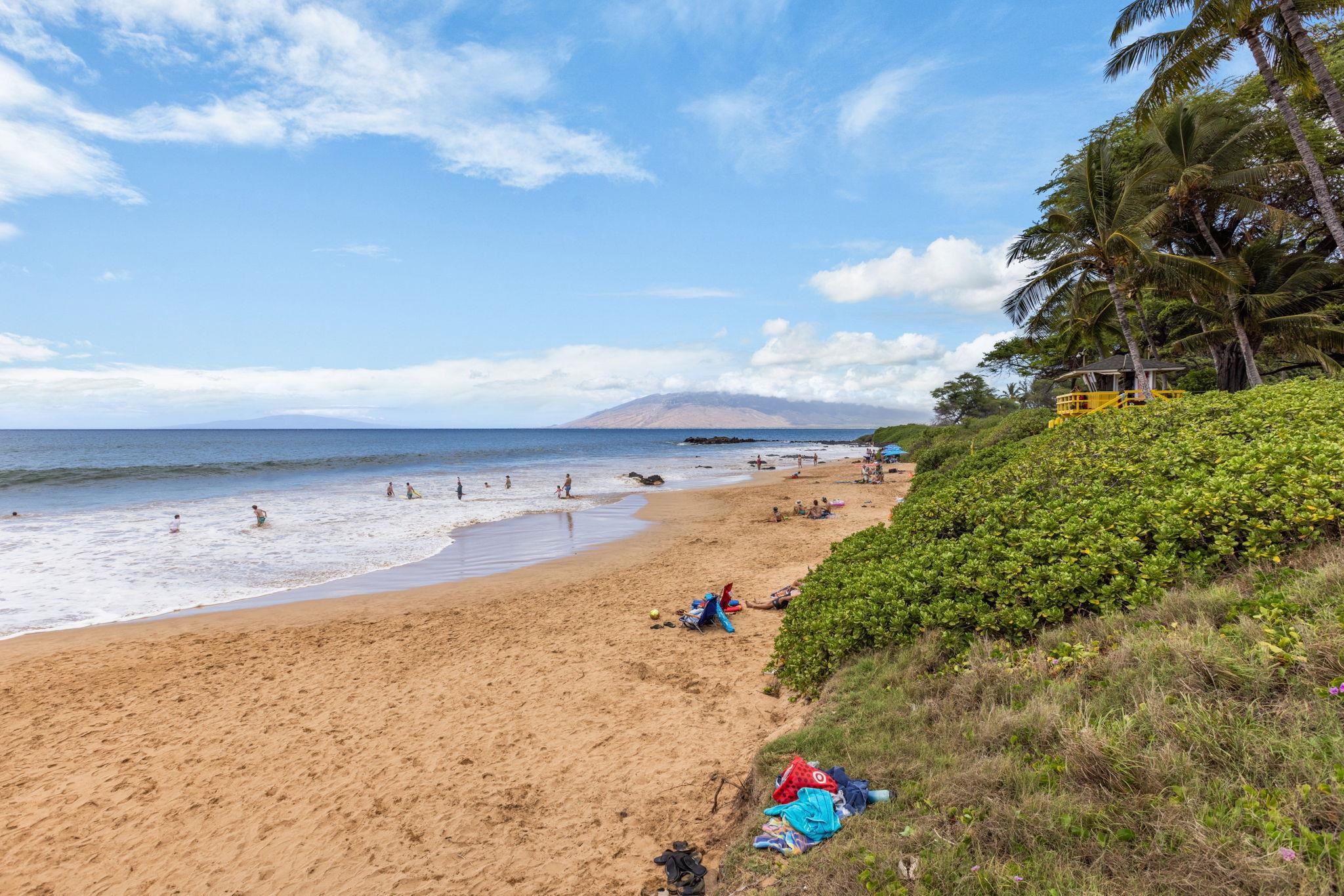 Maui Parkshore condo # 202, Kihei, Hawaii - photo 29 of 30