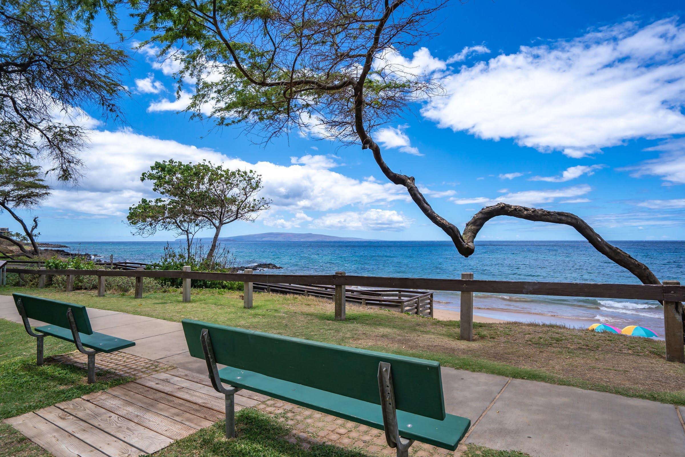 Maui Parkshore condo # 204, Kihei, Hawaii - photo 29 of 30