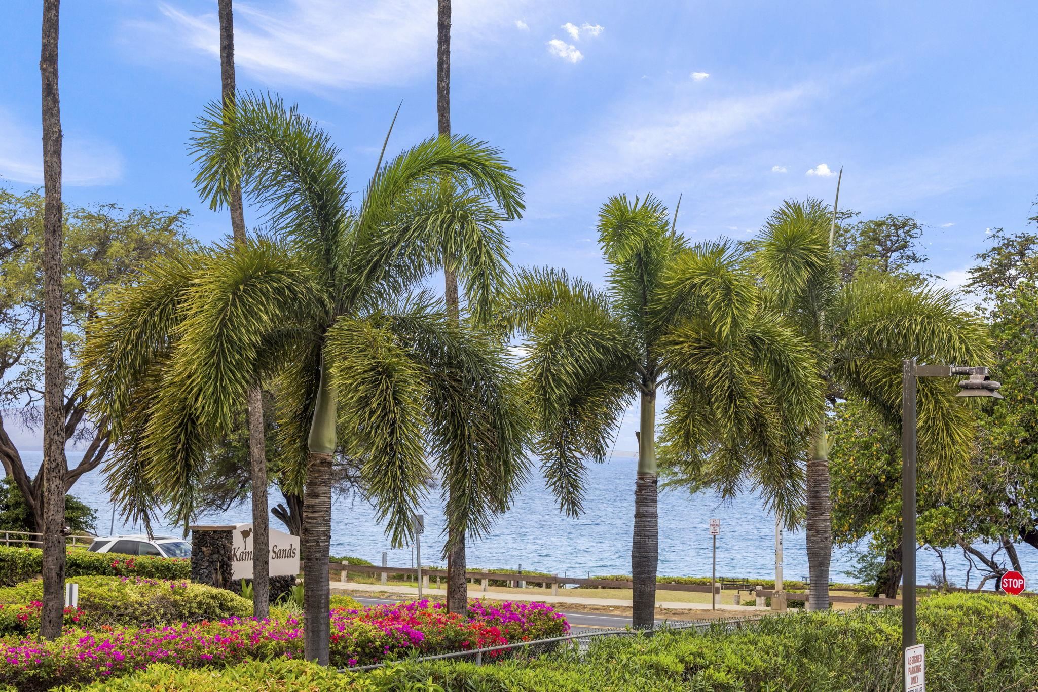 Maui Parkshore condo # 216, Kihei, Hawaii - photo 13 of 29