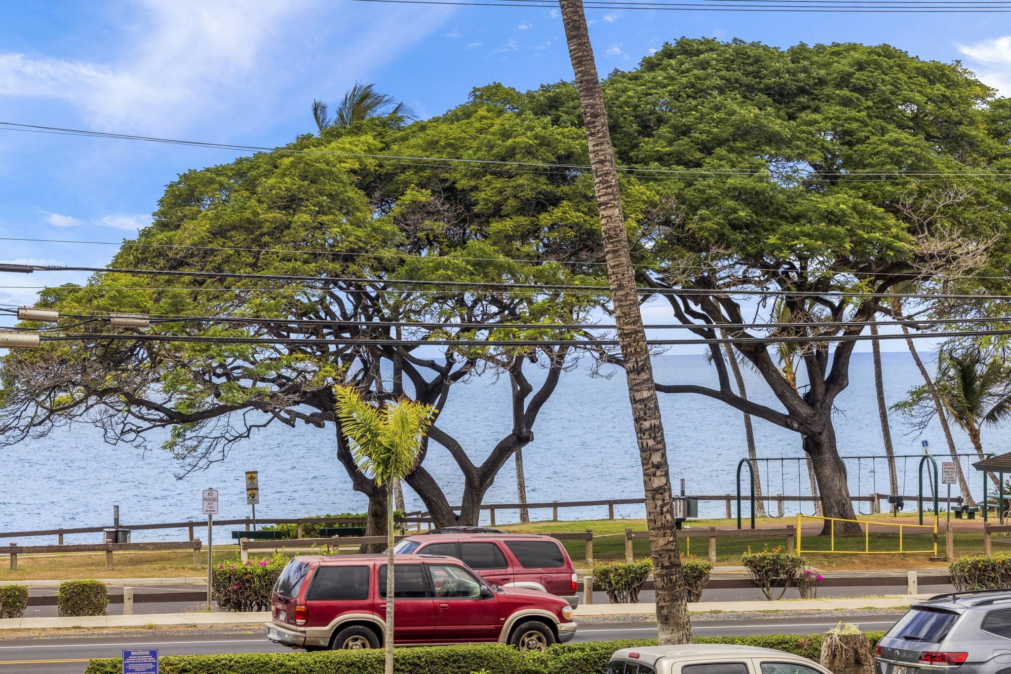 Maui Parkshore condo # 216, Kihei, Hawaii - photo 3 of 29