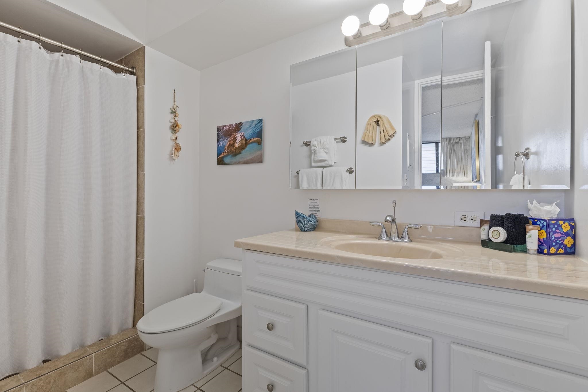 Maui Parkshore condo # 305, Kihei, Hawaii - photo 18 of 39