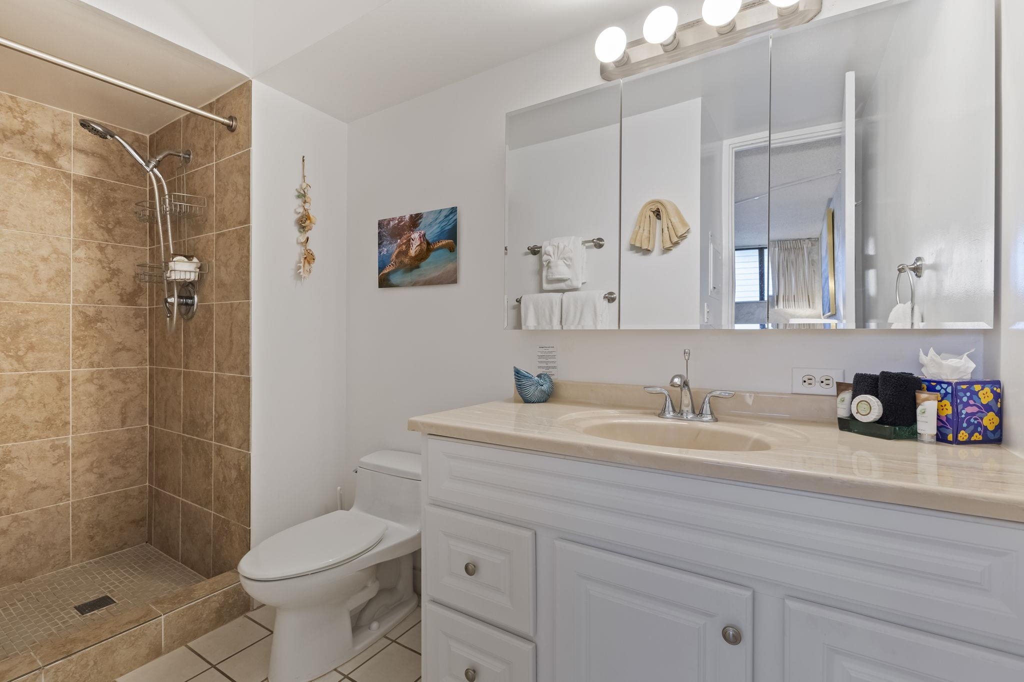 Maui Parkshore condo # 305, Kihei, Hawaii - photo 19 of 39