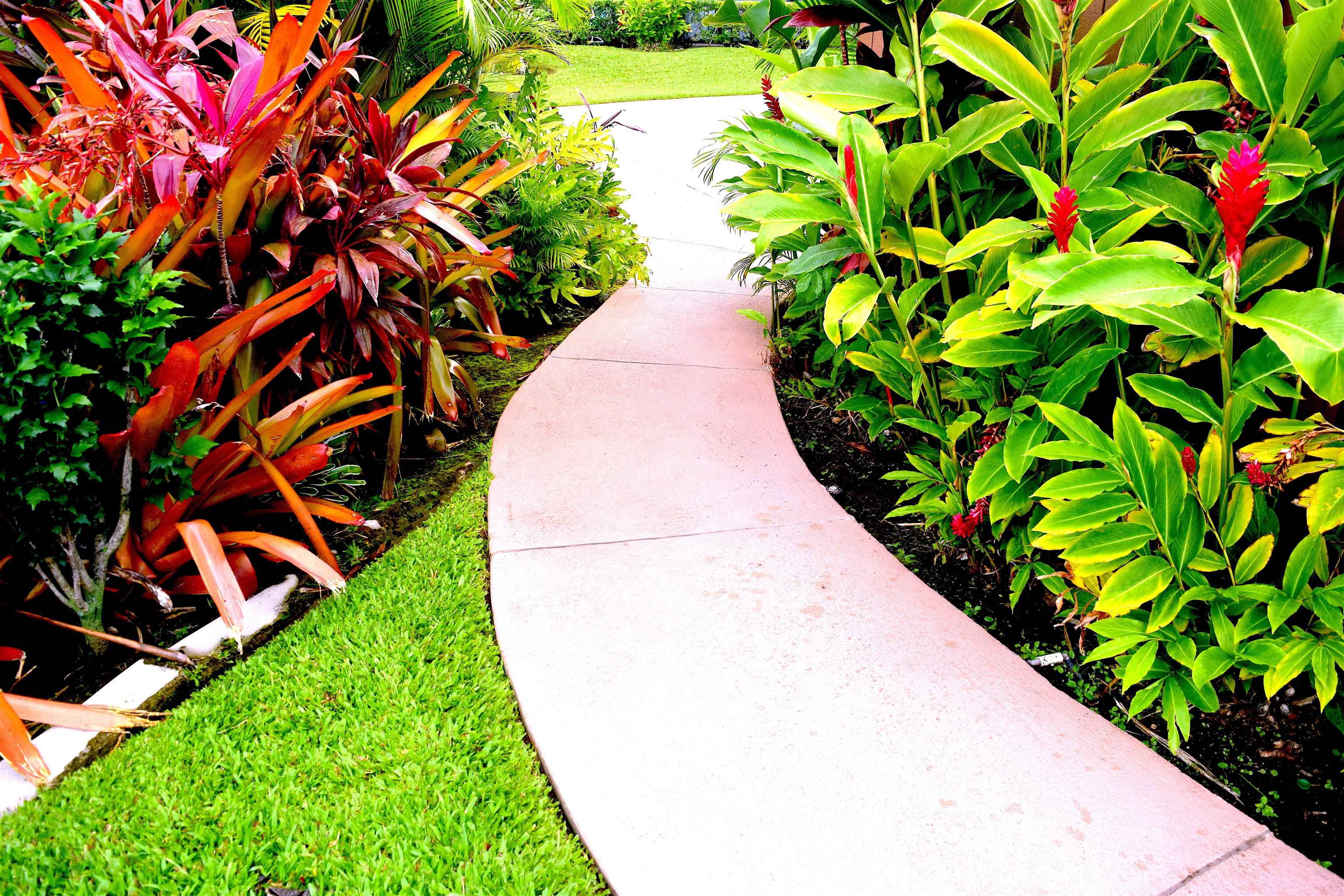 Maui Parkshore condo # 309, Kihei, Hawaii - photo 15 of 29