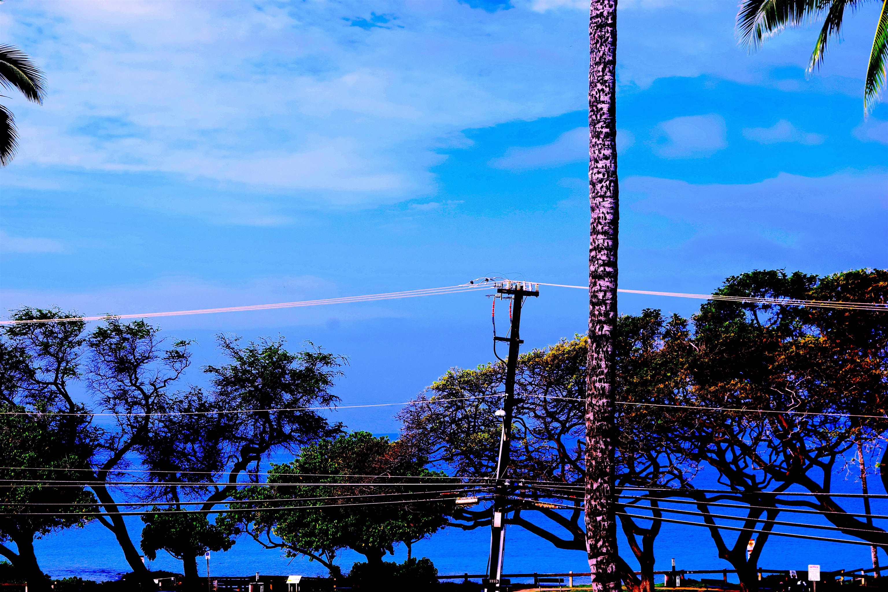 Maui Parkshore condo # 309, Kihei, Hawaii - photo 21 of 29