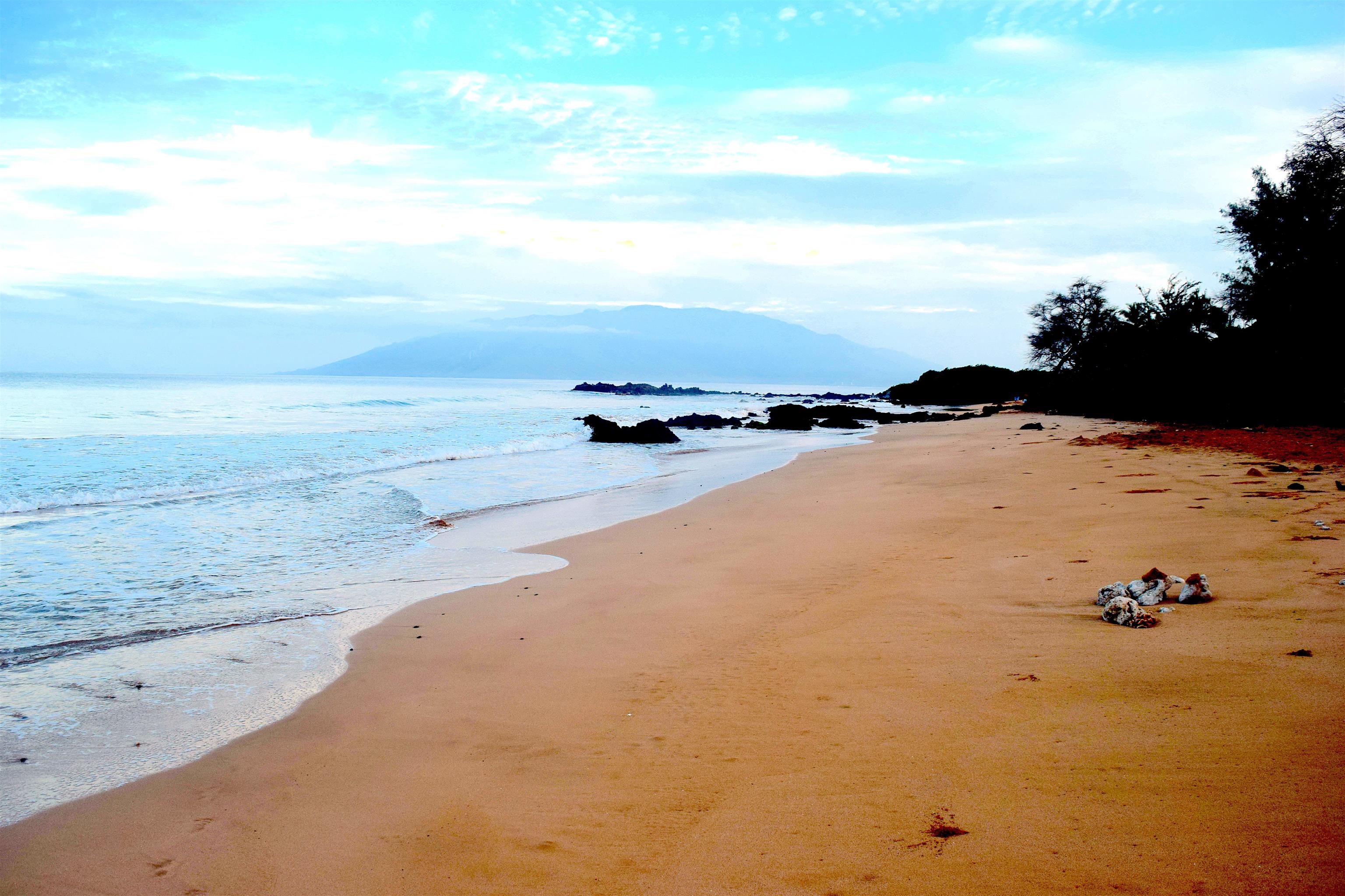 Maui Parkshore condo # 309, Kihei, Hawaii - photo 4 of 29